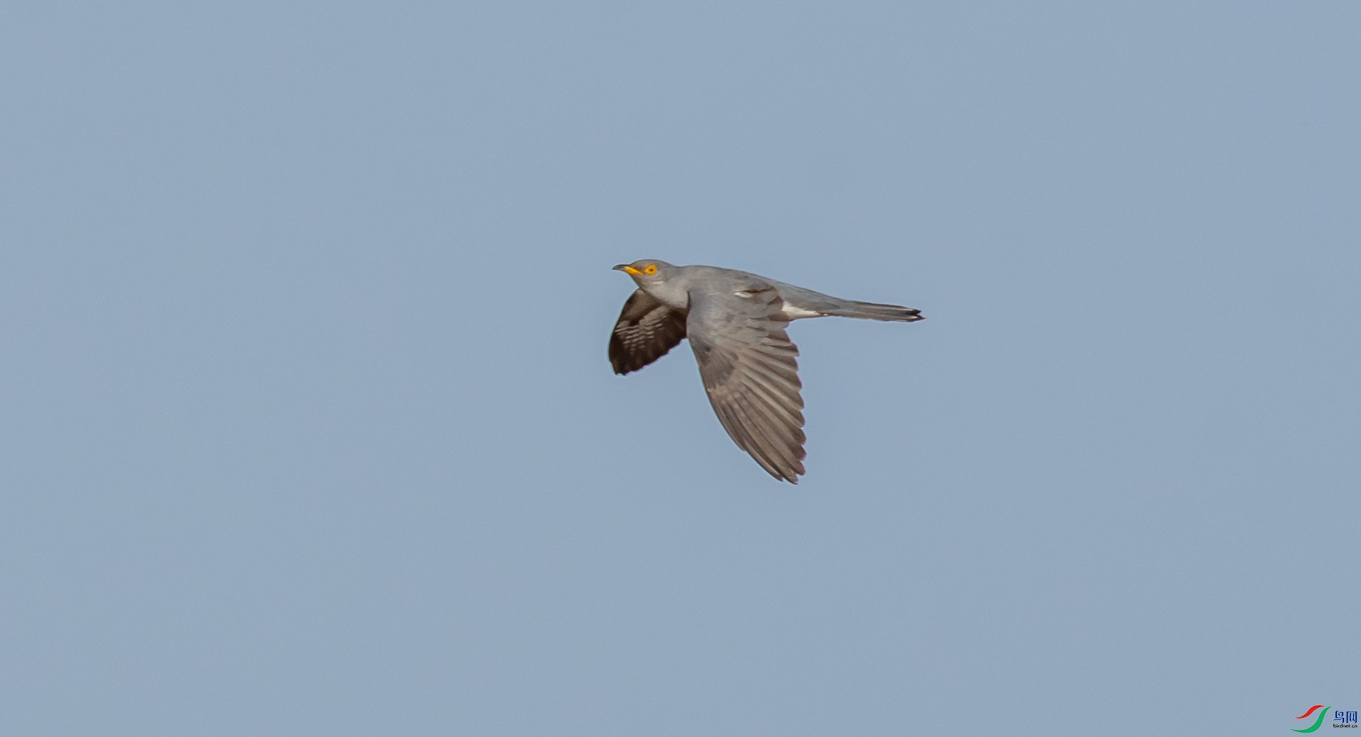 DSC_2485.jpg