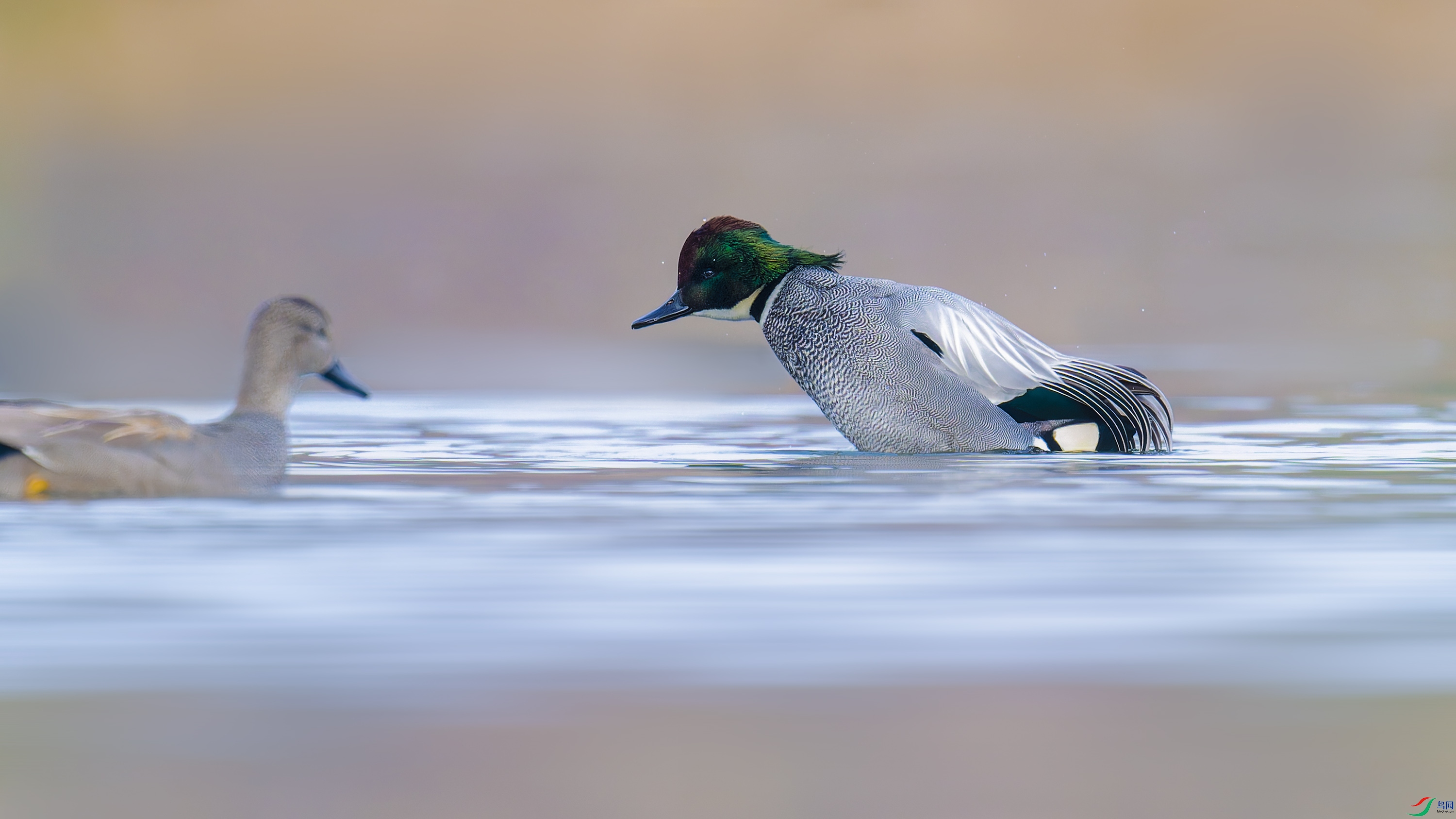 DSC_5807_DxO.jpg