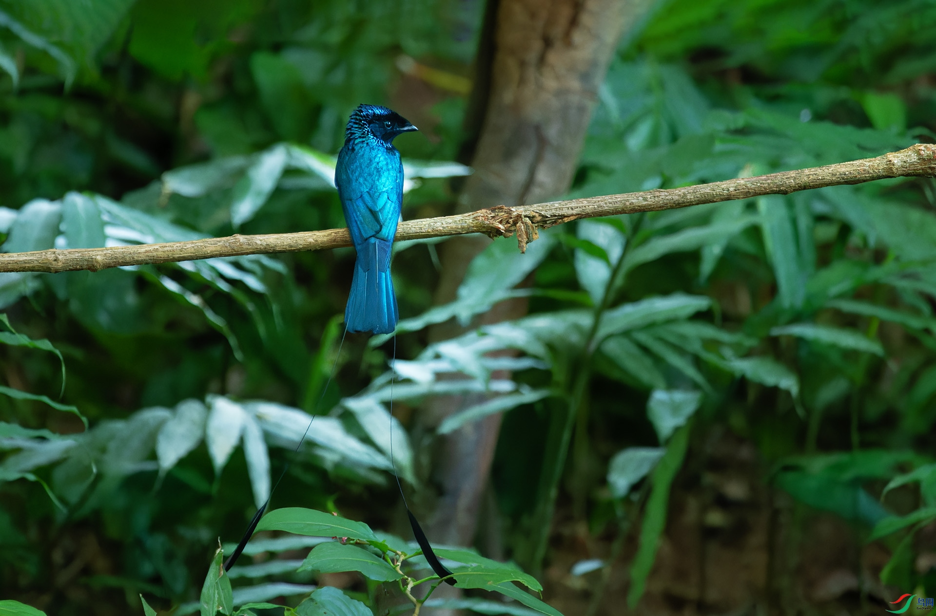 DSC_4779-1.jpg