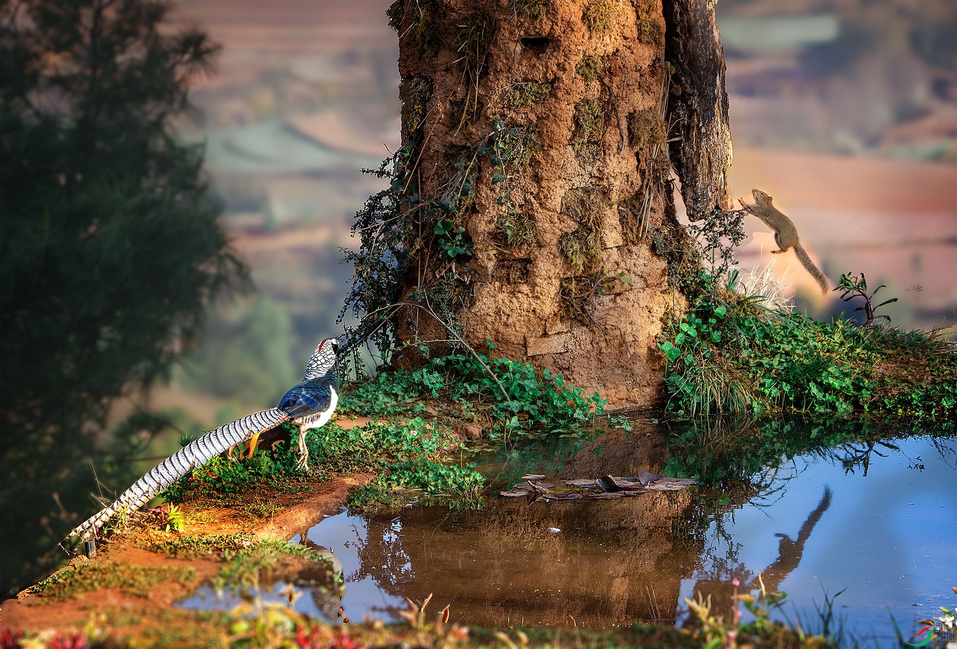 _DSC6780-����ǿ-NR ���� 2.jpg