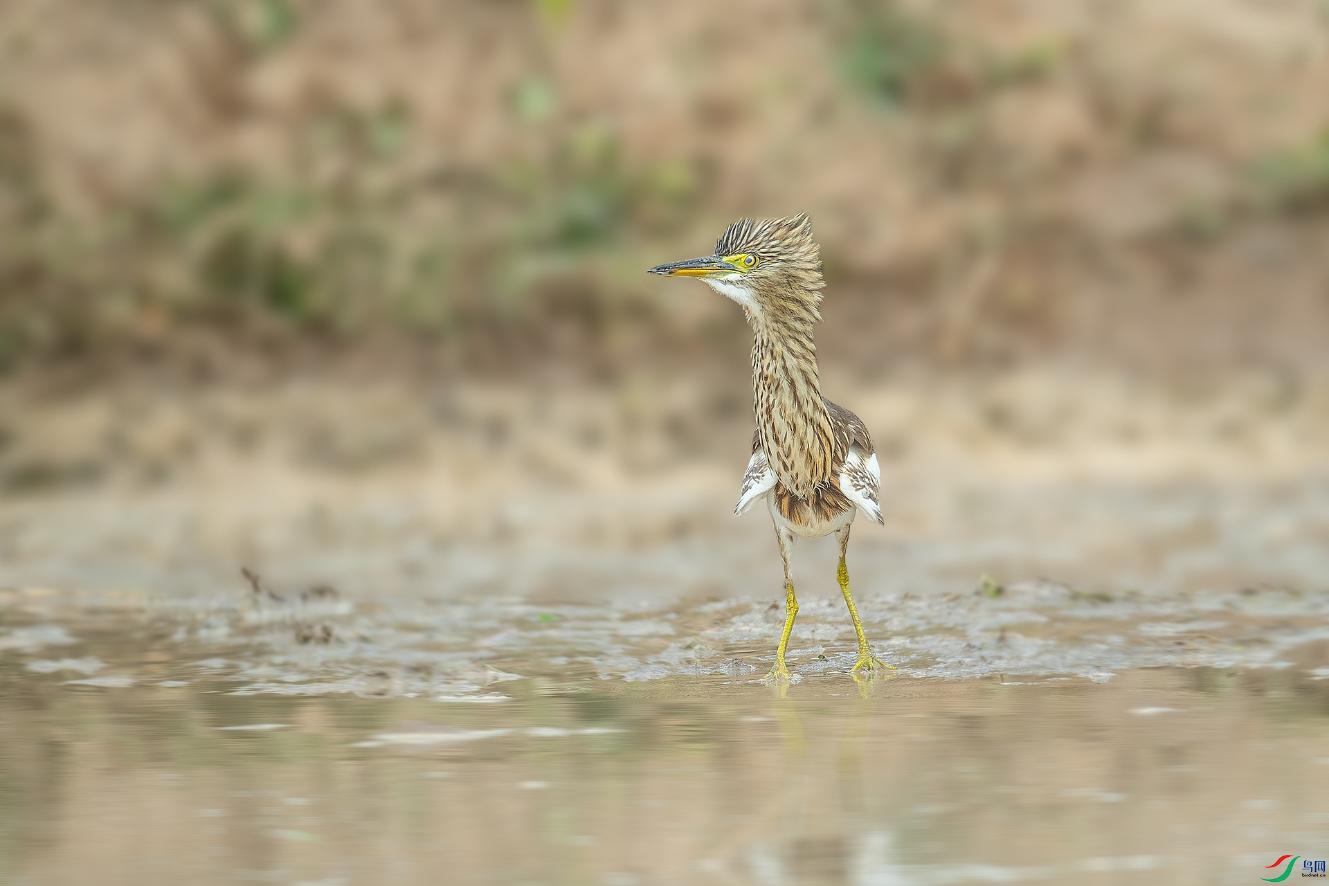 DSC_6194.jpg