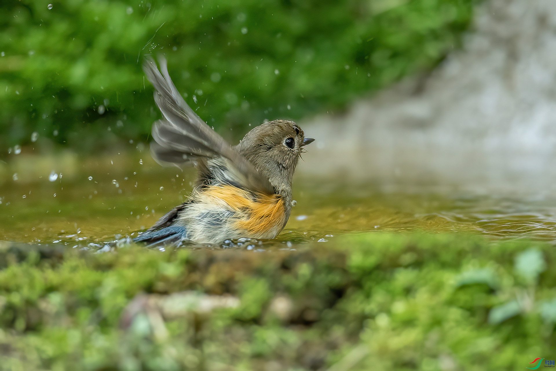 DSC_2136.jpg