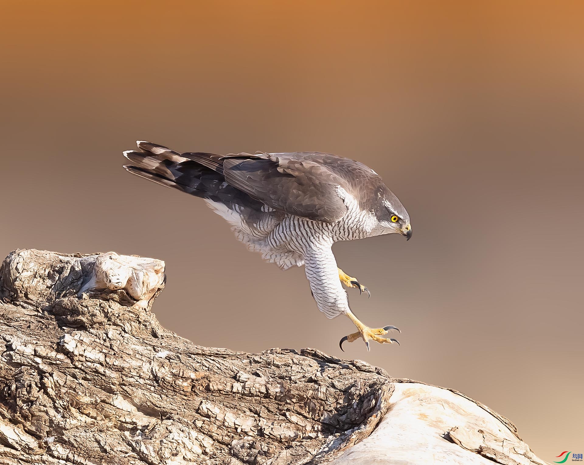 019A6540 ����.jpg