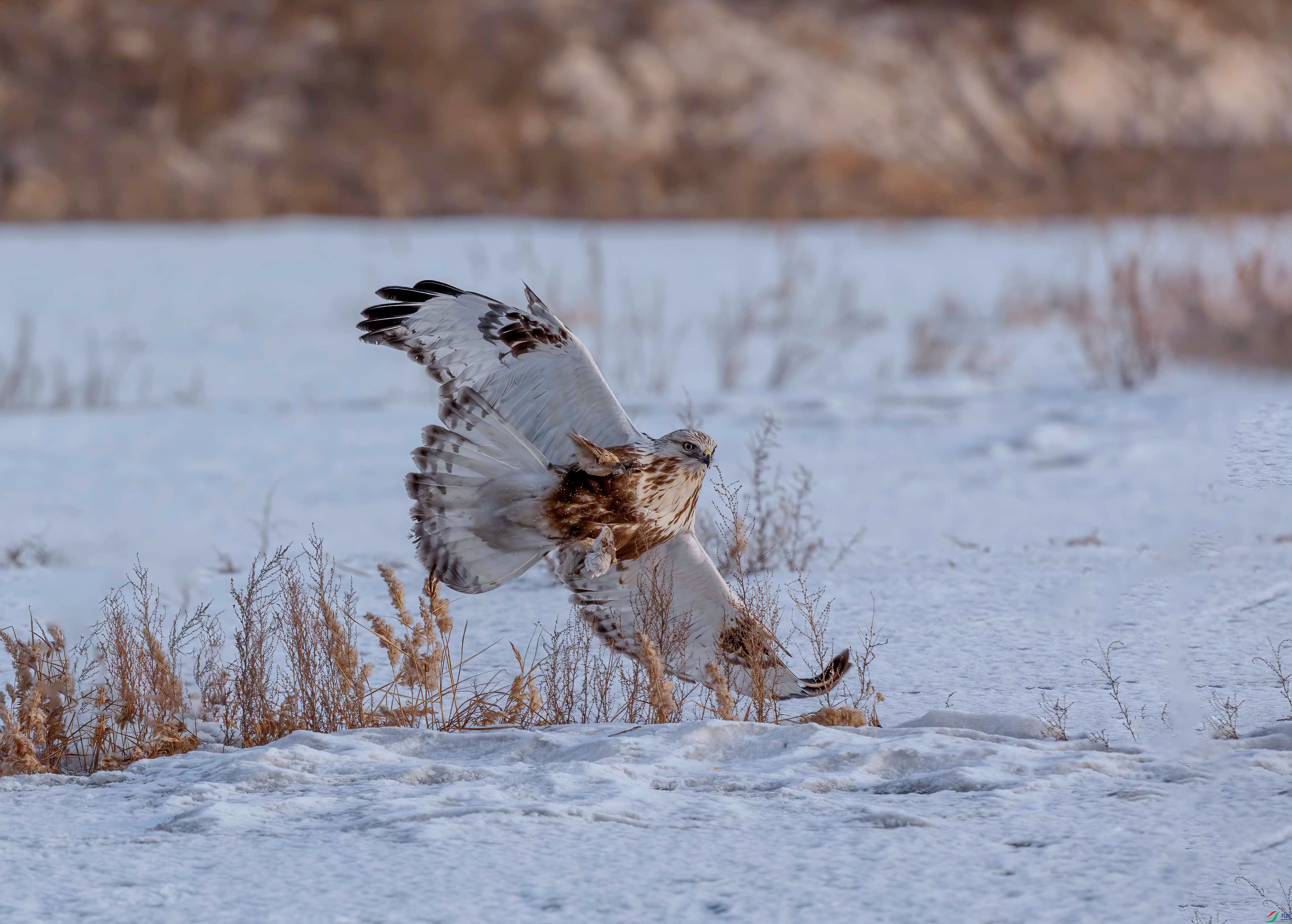 _EZP8226 -N_����.jpg