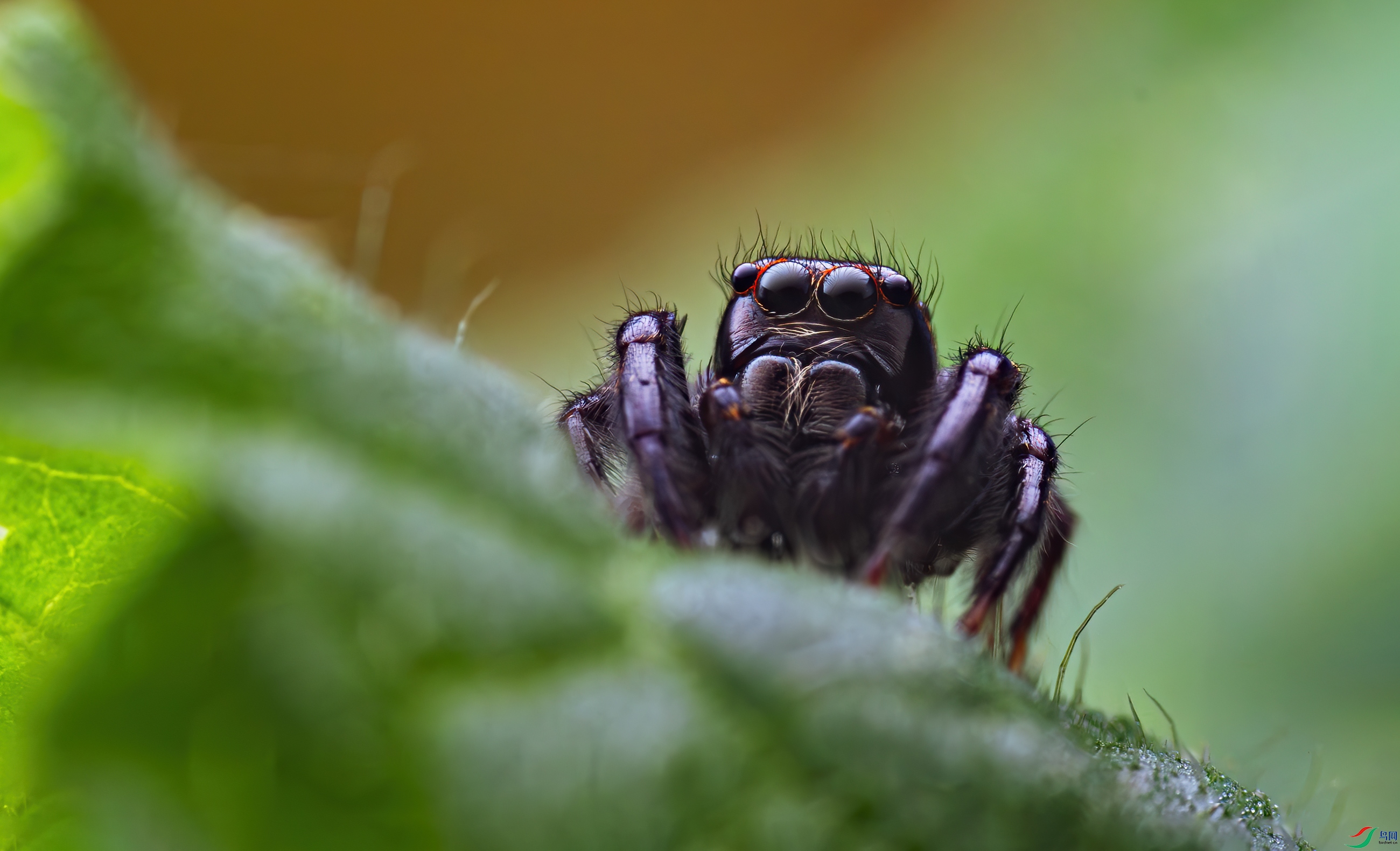 0P3A8268.jpg