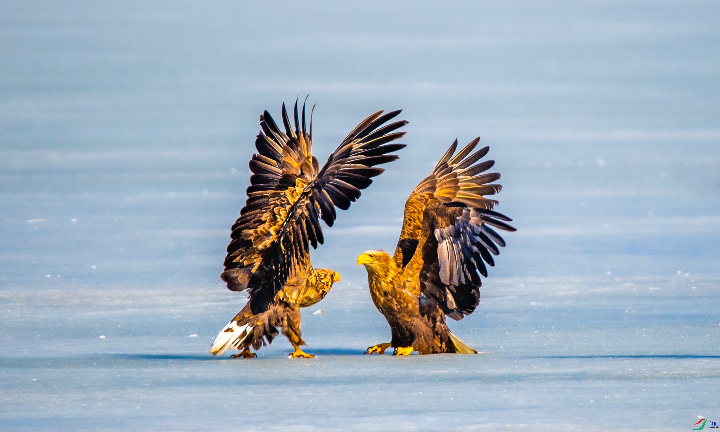 DSC_5536-1.jpg