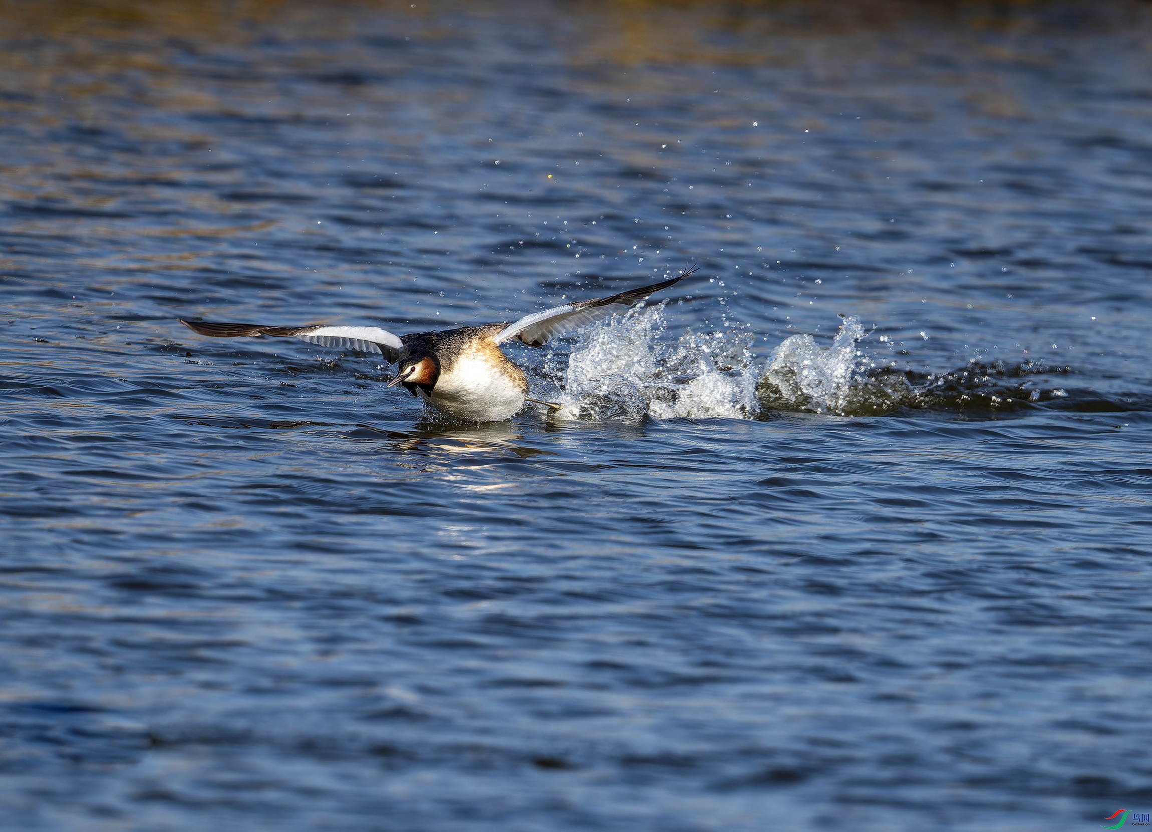 ��ͷ�G�f (1)-1.jpg