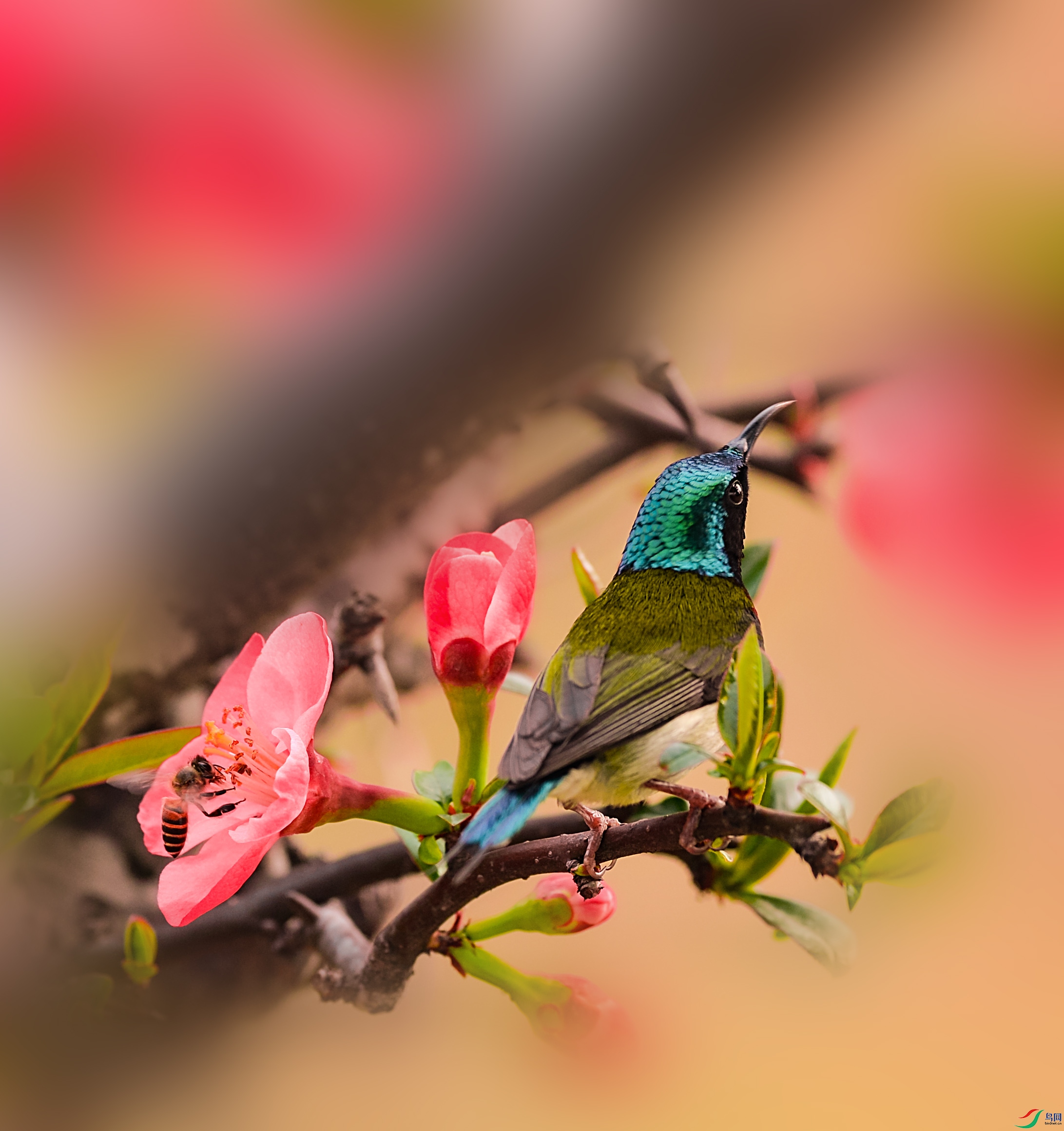 DSC_9845.jpg