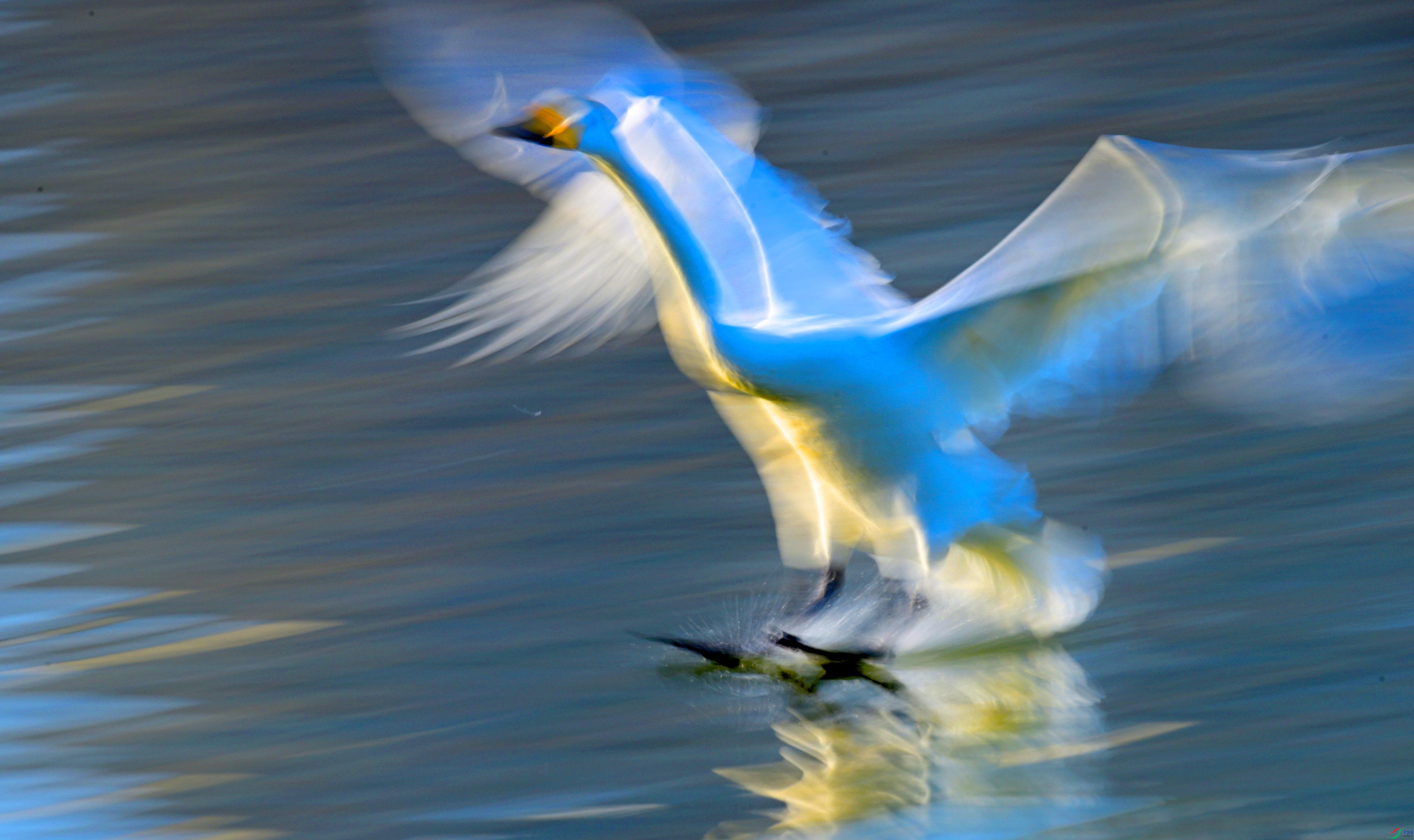 DSC_8121 ����.jpg