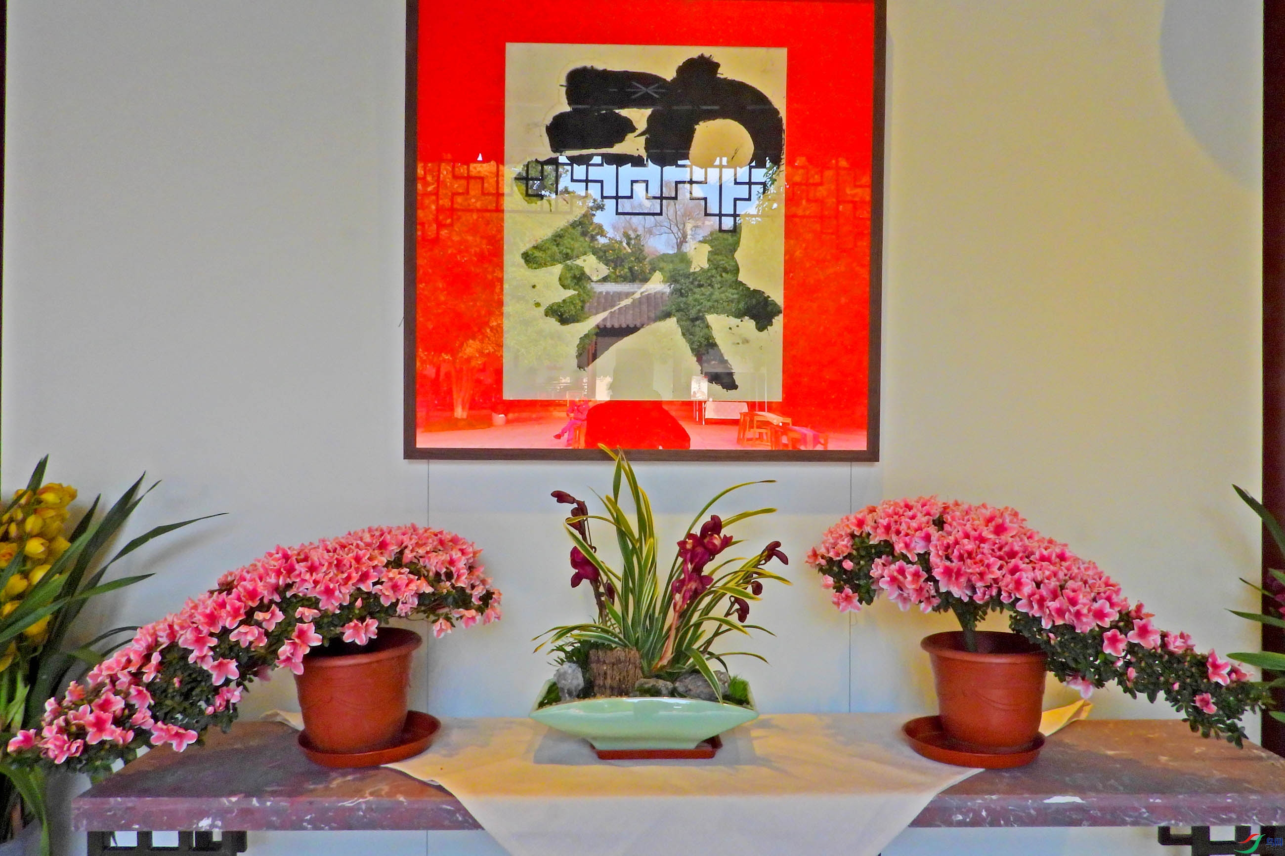 DSCN2649.JPG