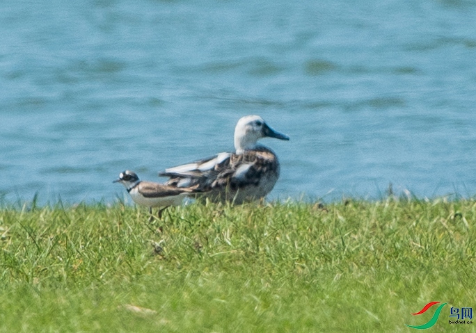 CCF_5921.jpg