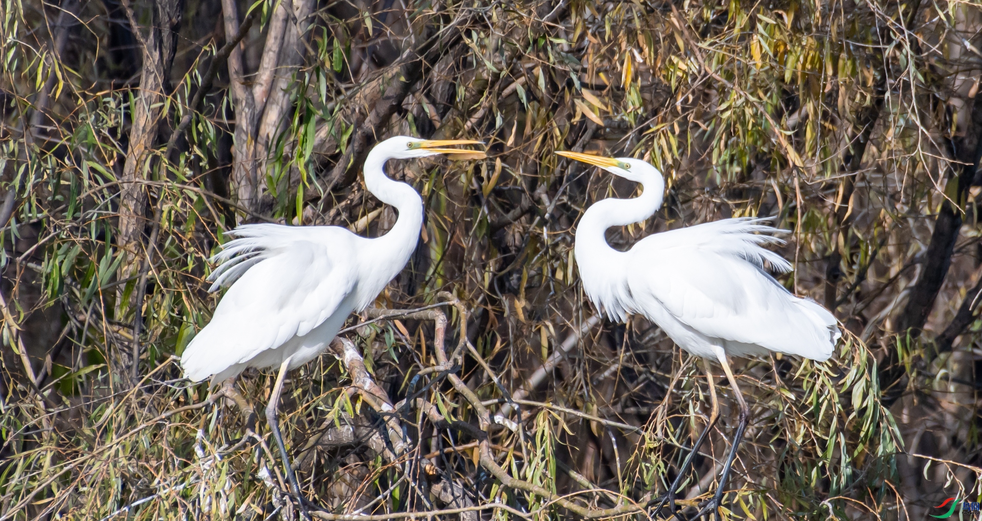 DSC_1804.jpg