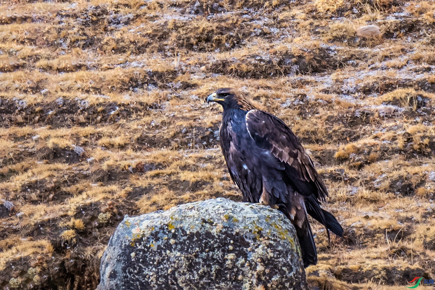 DSC_7648.jpg
