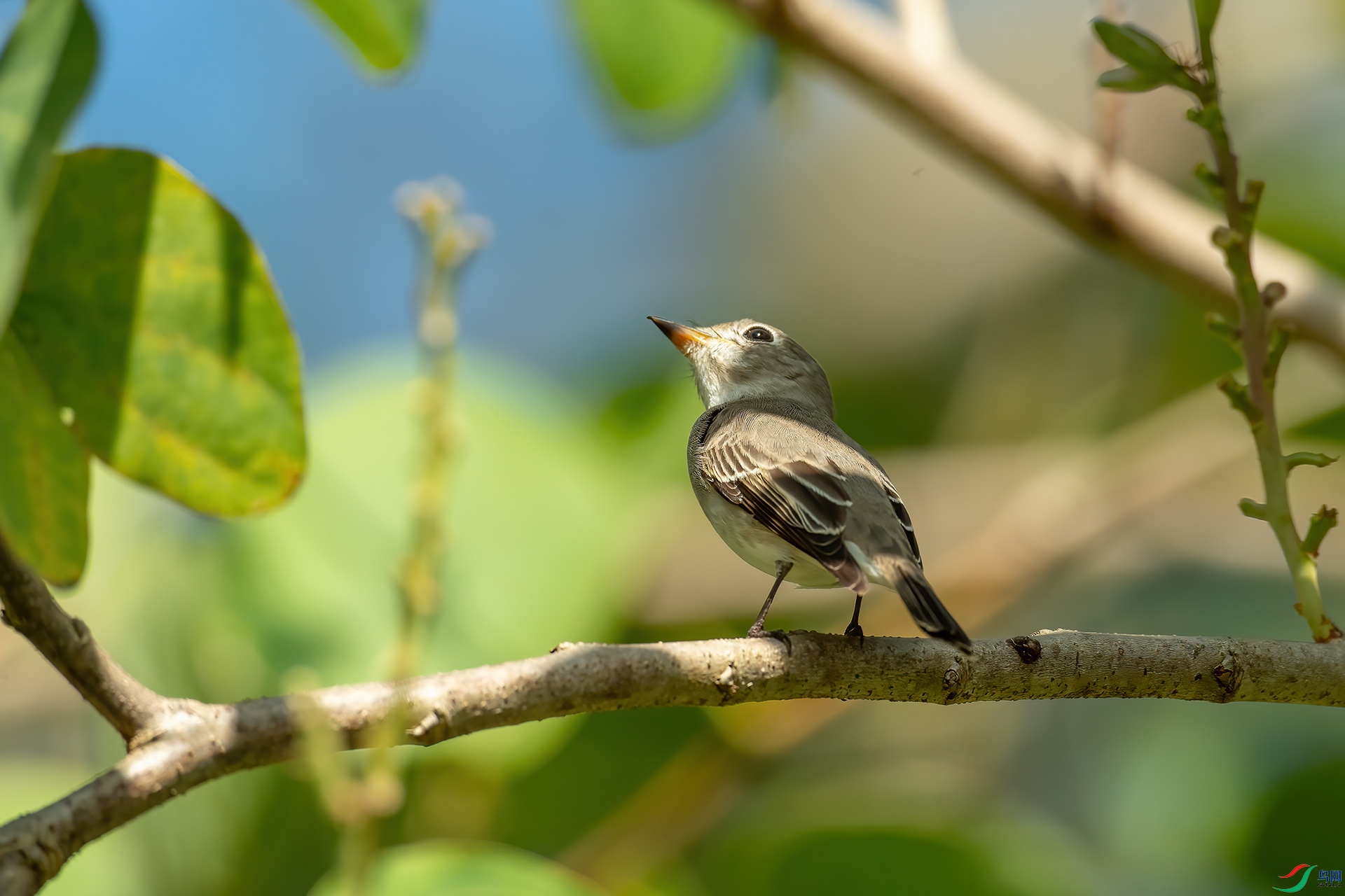 DSC_7916.jpg