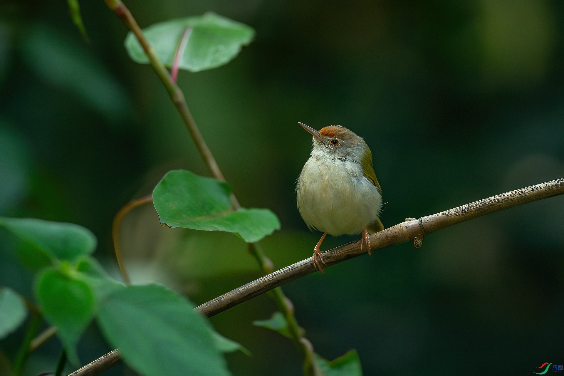 DSC_3400.jpg
