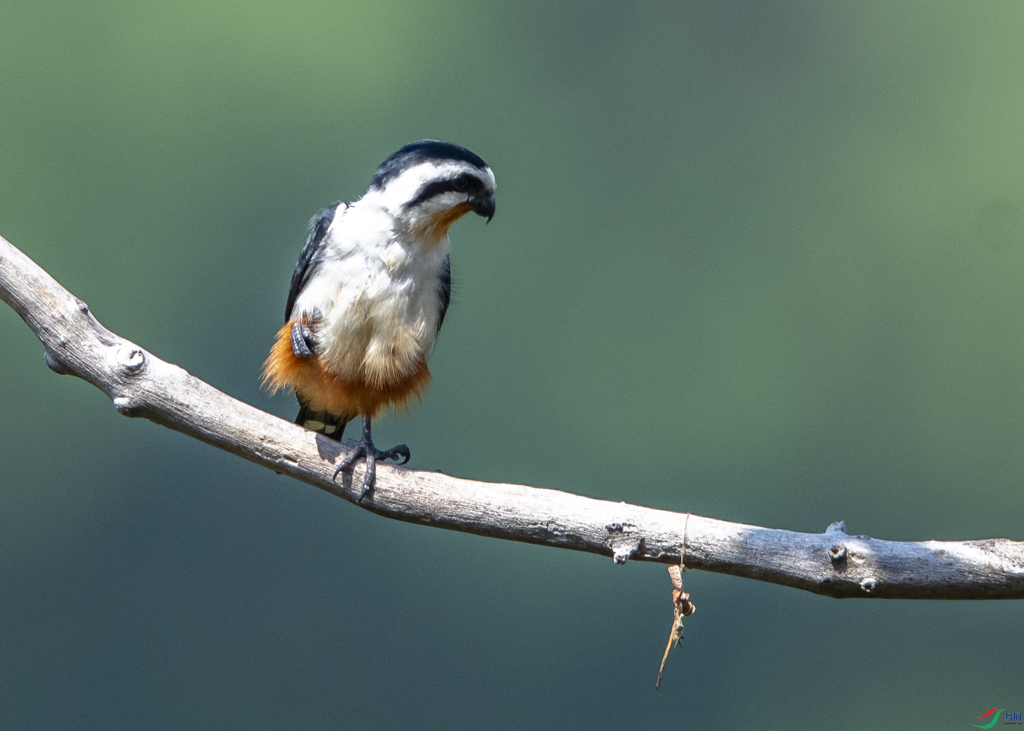 8661 ����.jpg