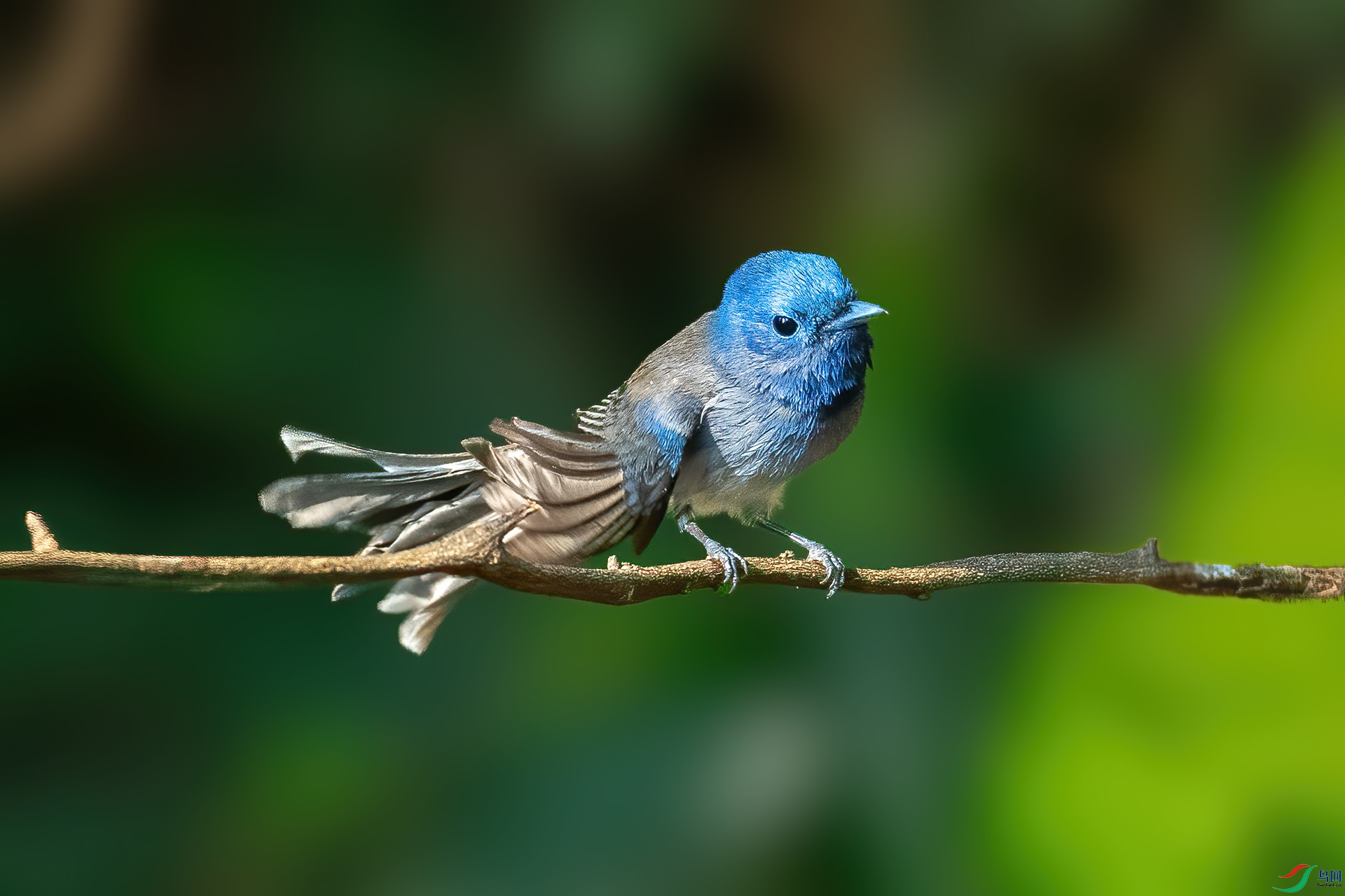 DSC_7900.jpg