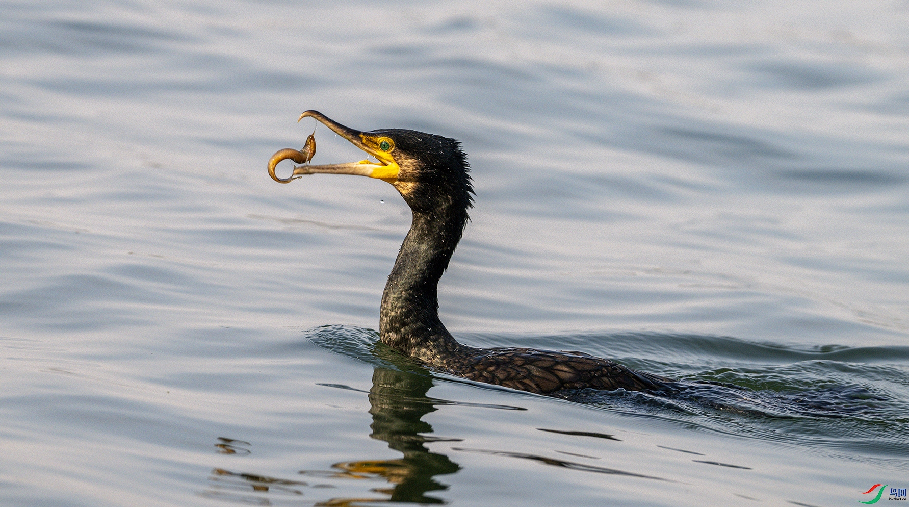 3459 ����.jpg