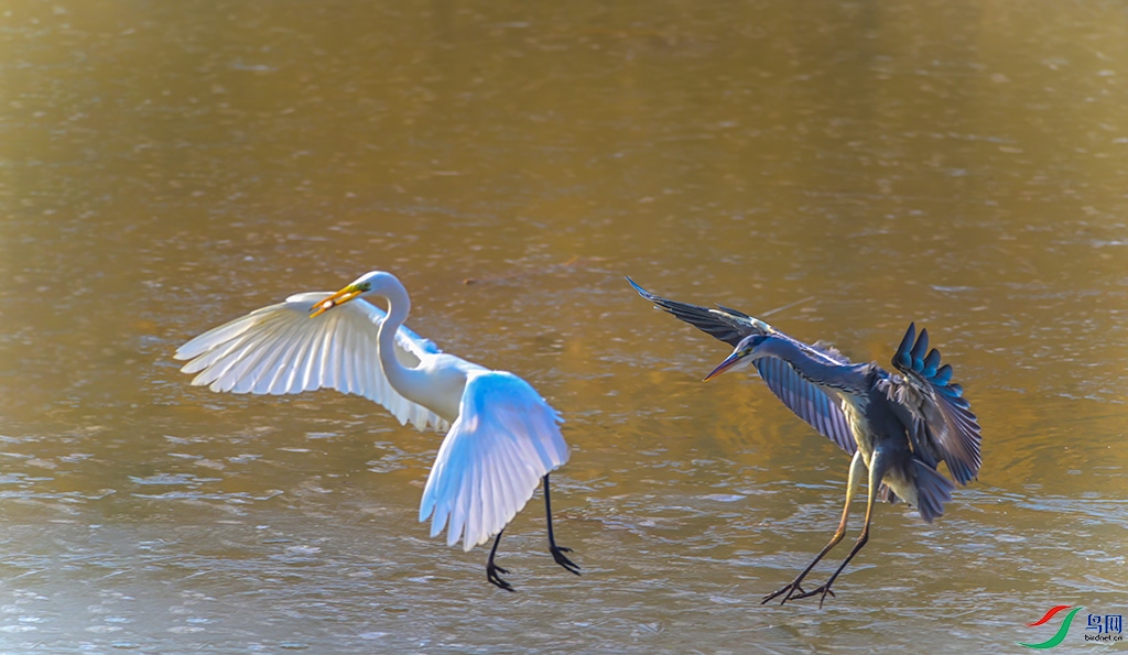 DSC_6161 ���� 2.jpg