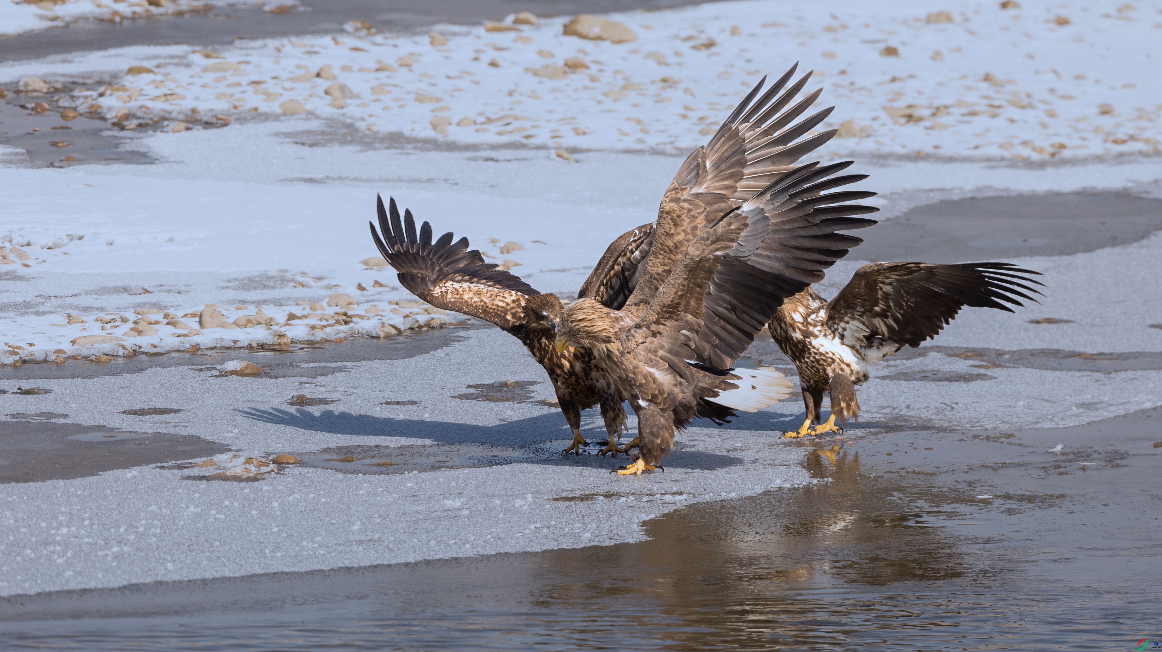 7X5A0365 ���� - ����.jpg