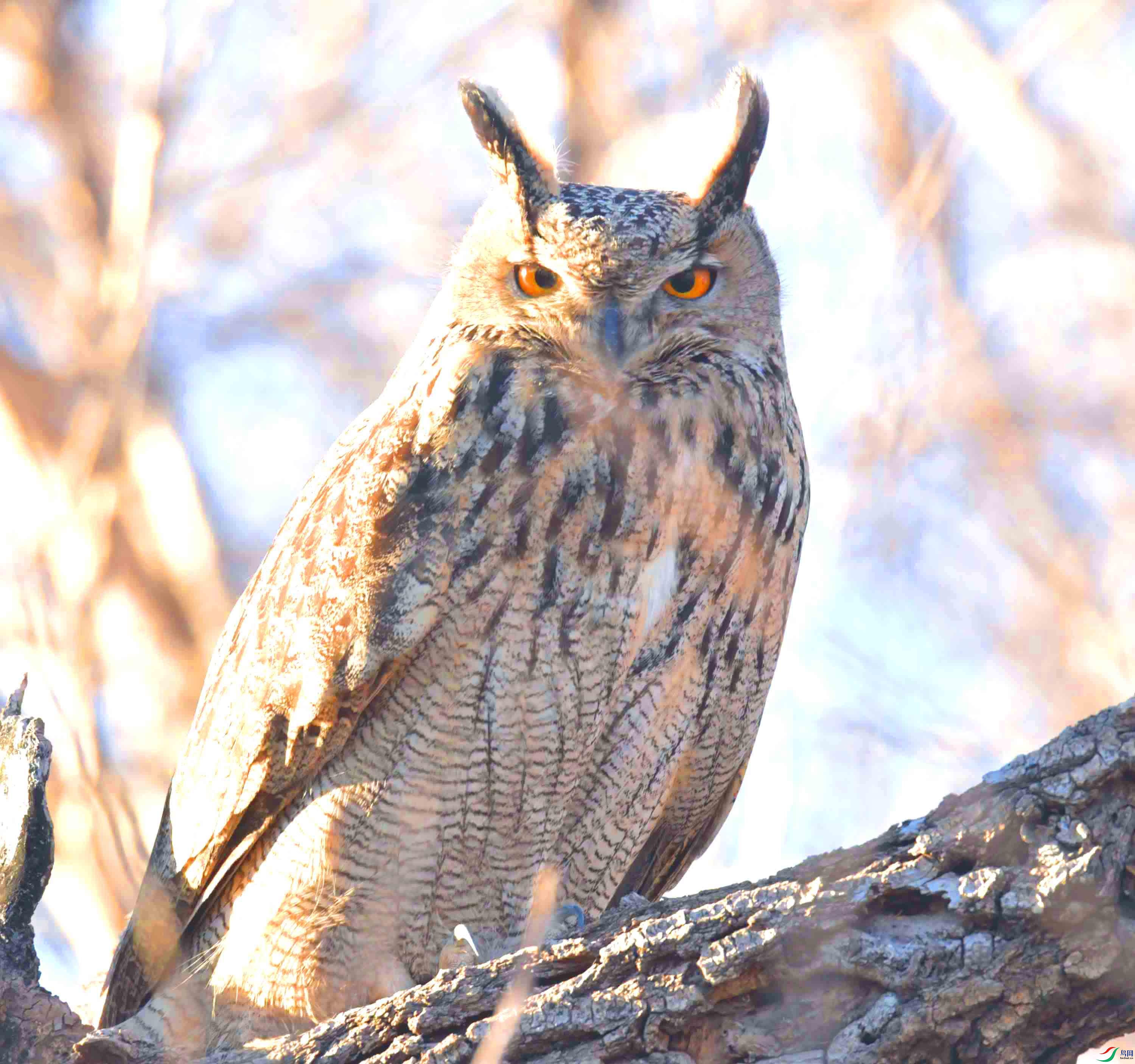 DSC_8186.JPG