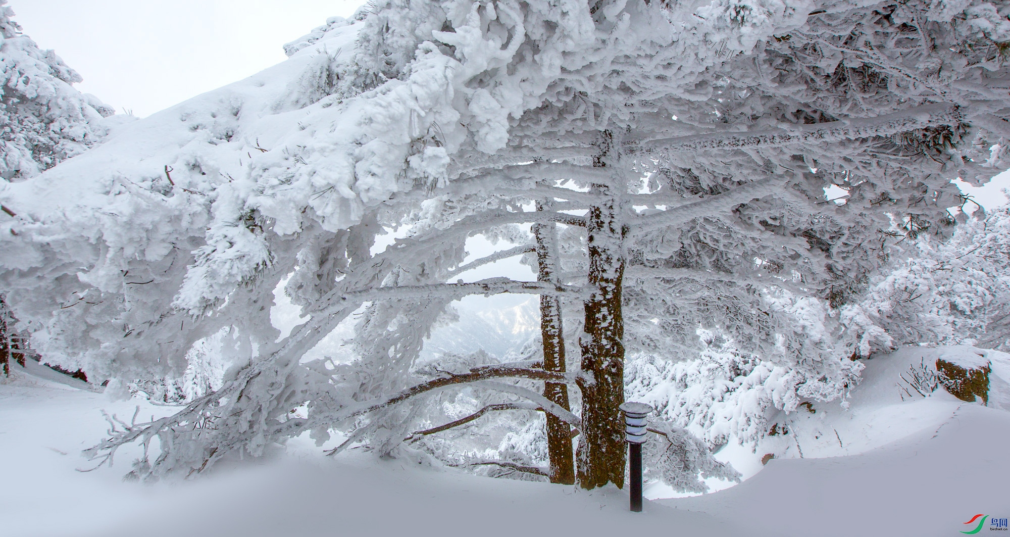 _V4C0044 ���� 2.jpg