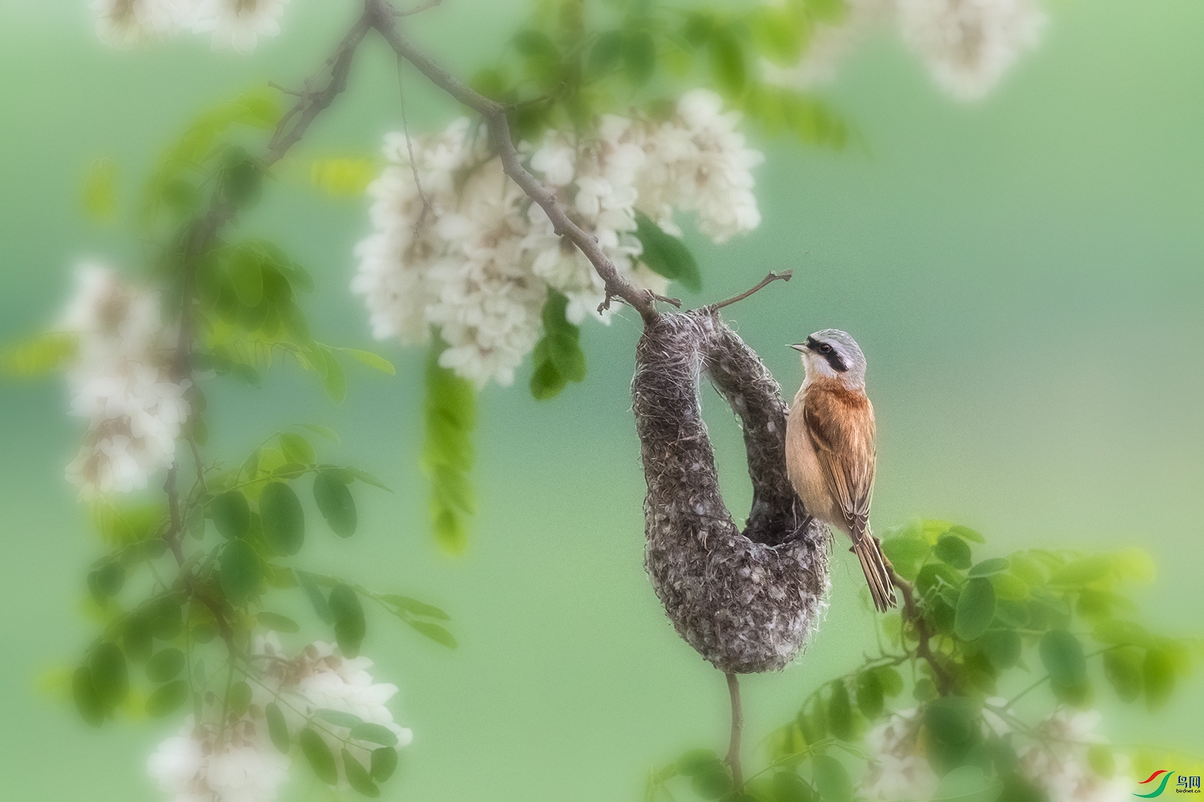 �л���ȸ----���Ž��������