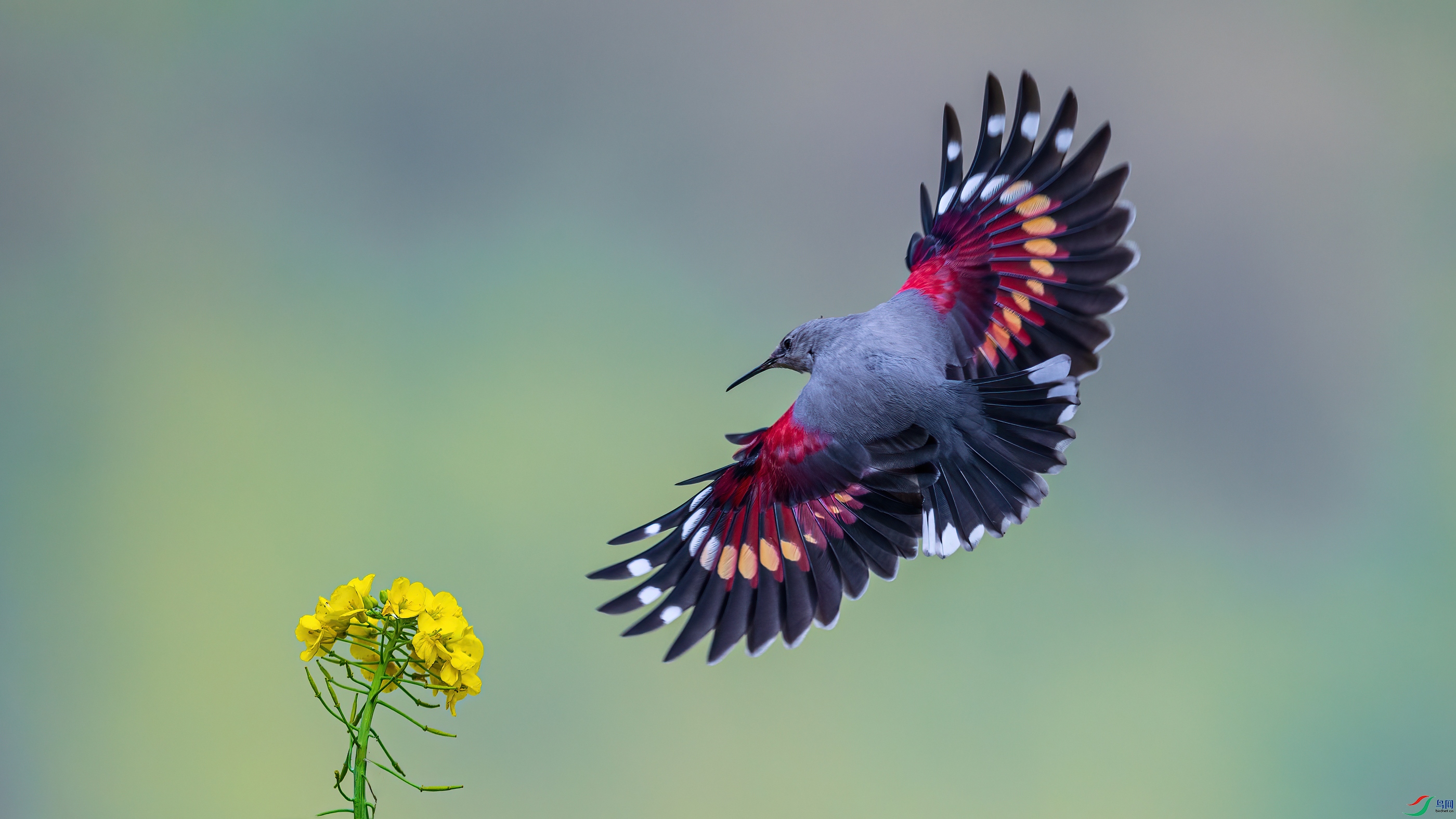 ��Ƭ1_DSC3834 ����.jpg