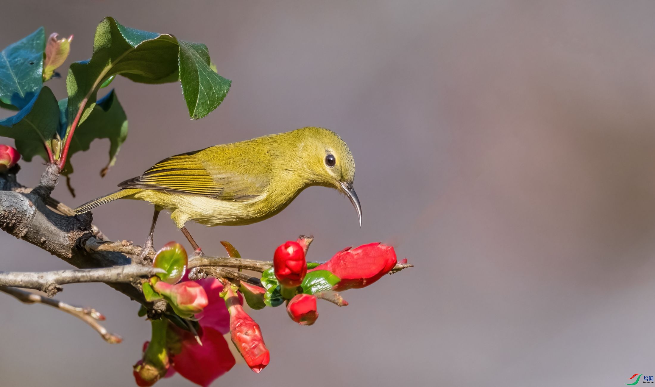 ��ʰ�쵵Ĳ�β̫����