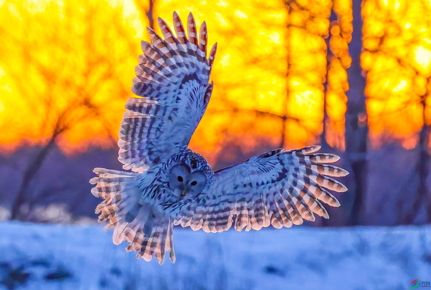 ��β���^�������������ˣ���Ӱ�й����ˣ�E8A2287---333-DeNoiseAI-denoise.jpg