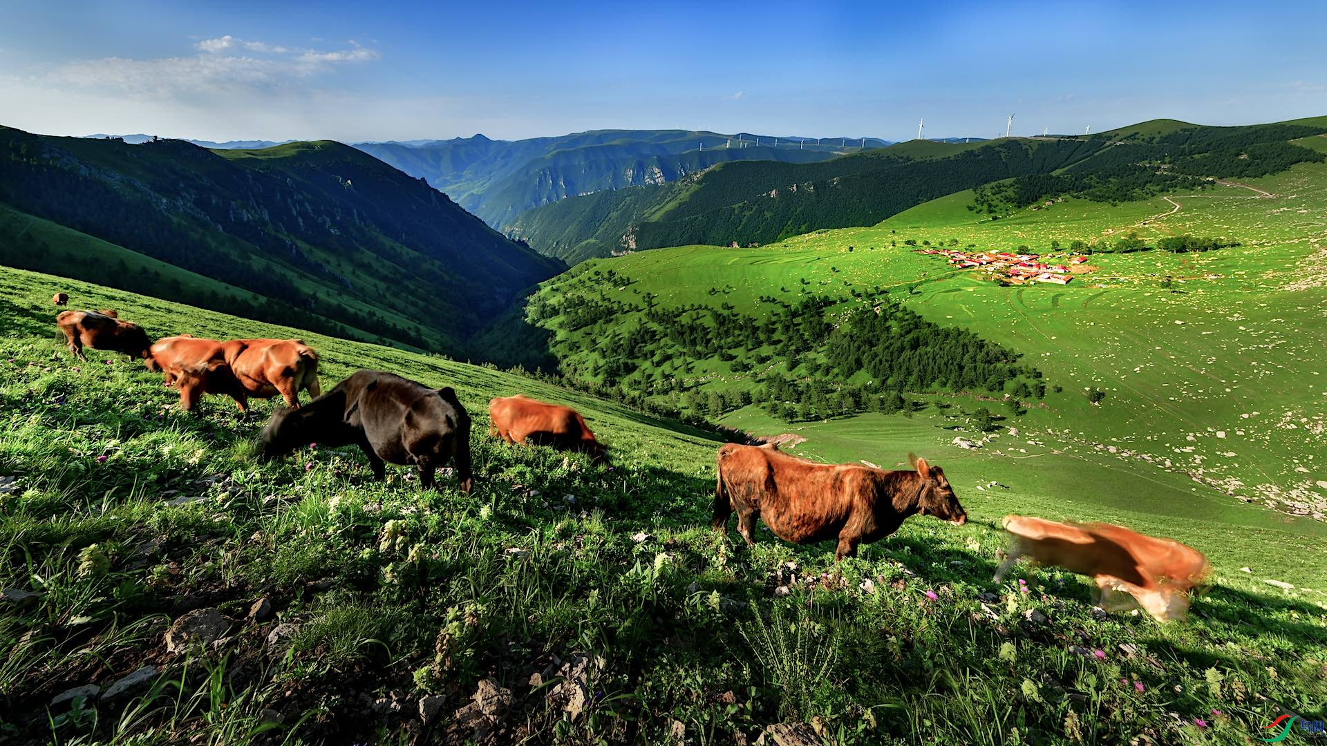 XXL_3421 ����.jpeg