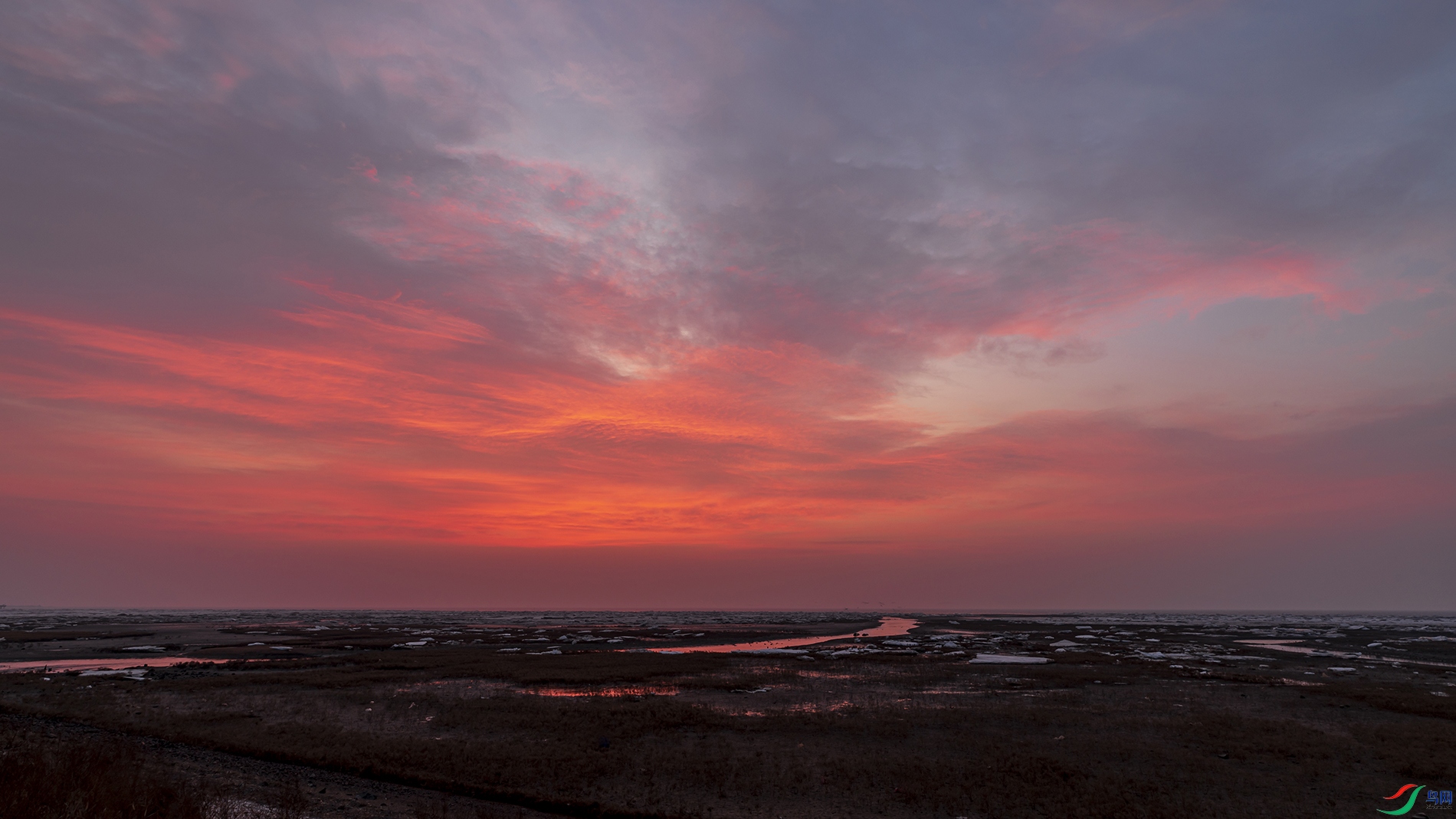 _4LM0239a.jpg