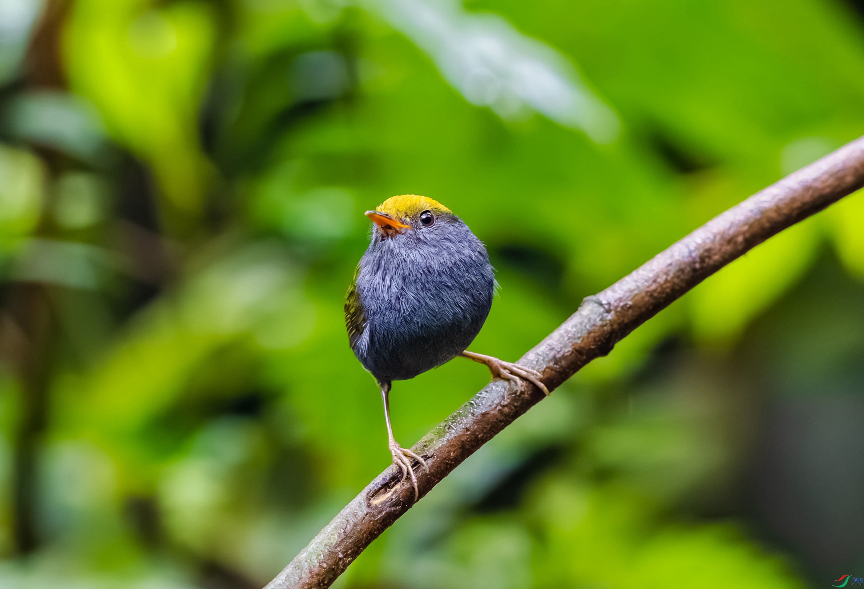 _DSC9834-����ǿ-NR_2.JPG