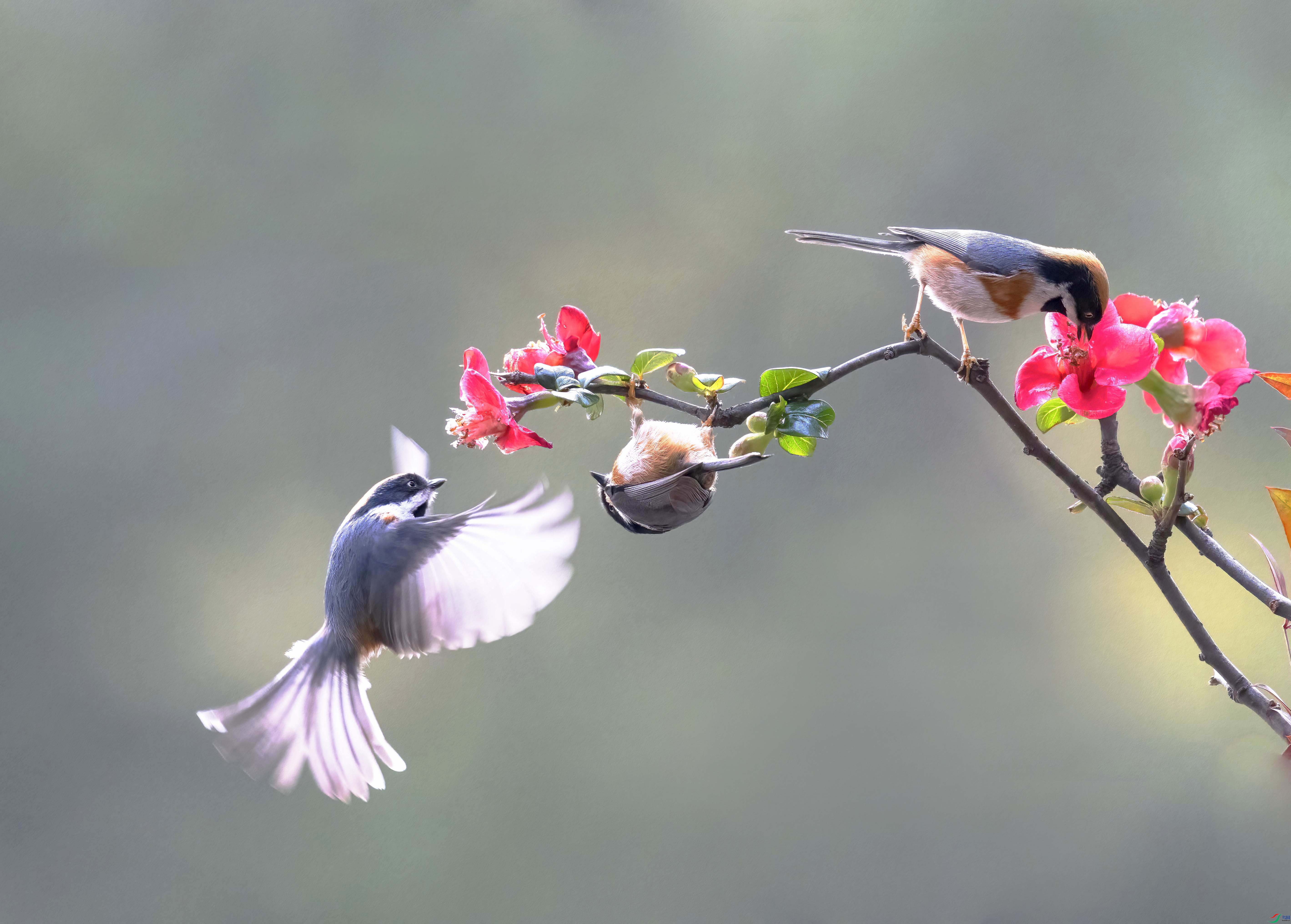 C87A1035 ���� 2.jpg