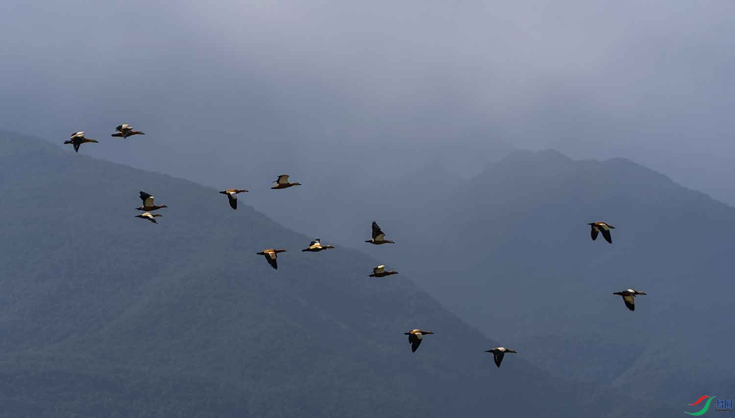 DSC04927 ����.jpg