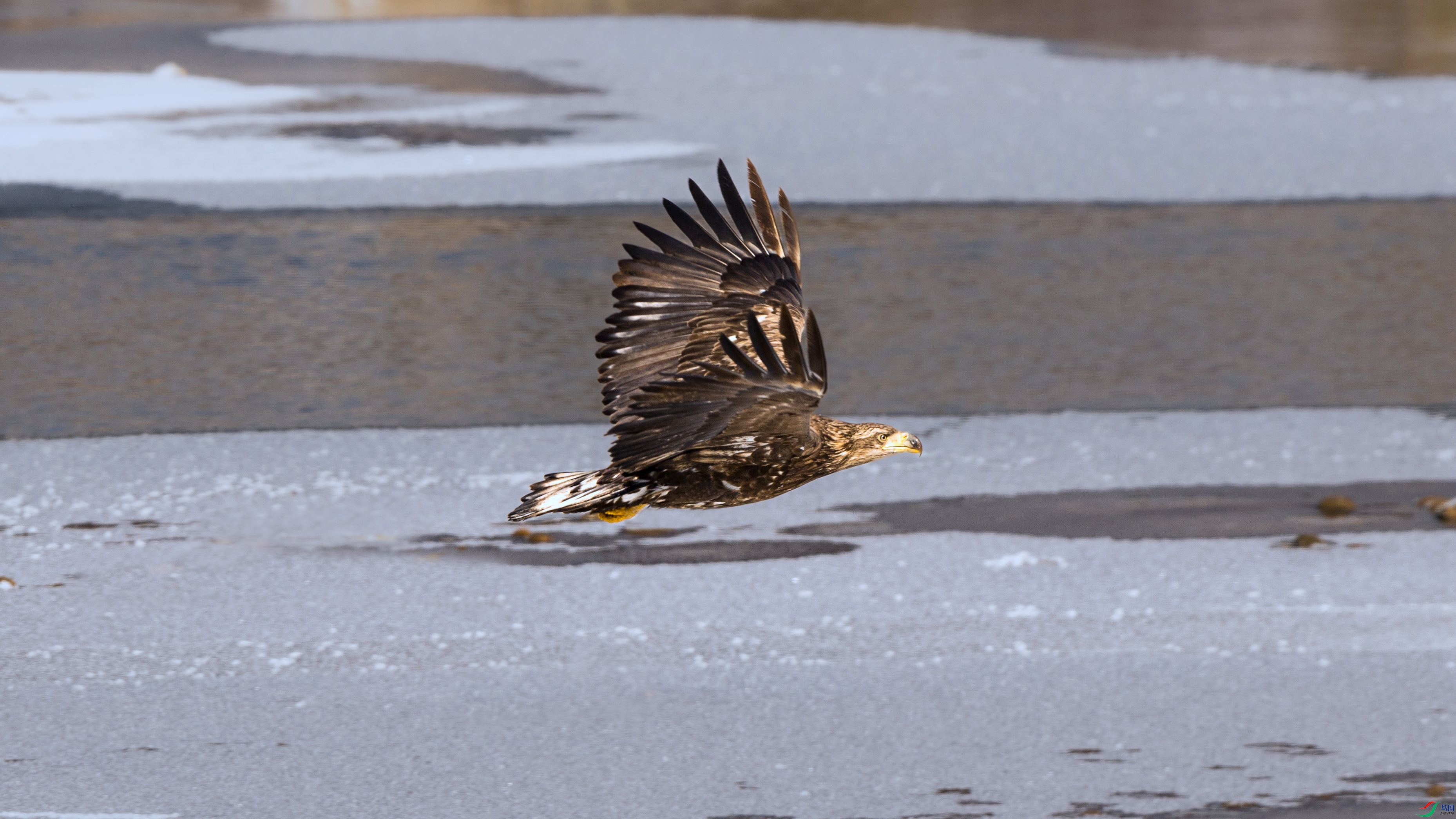 7X5A0596 ���� - ����.jpg