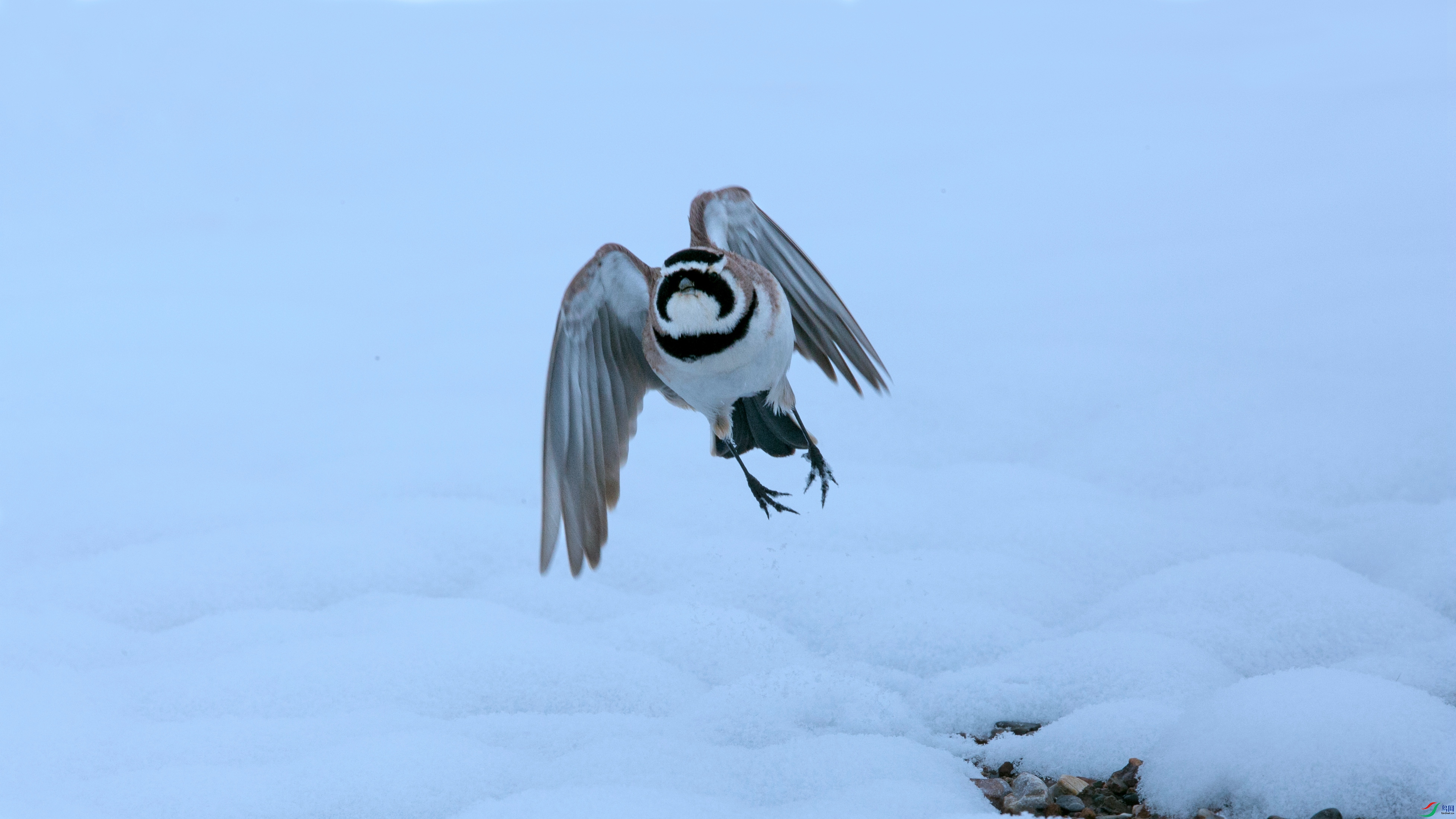 X39A4995 ���� - ����.jpg