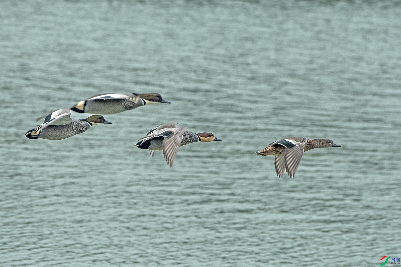 DSC_7892 0.jpg