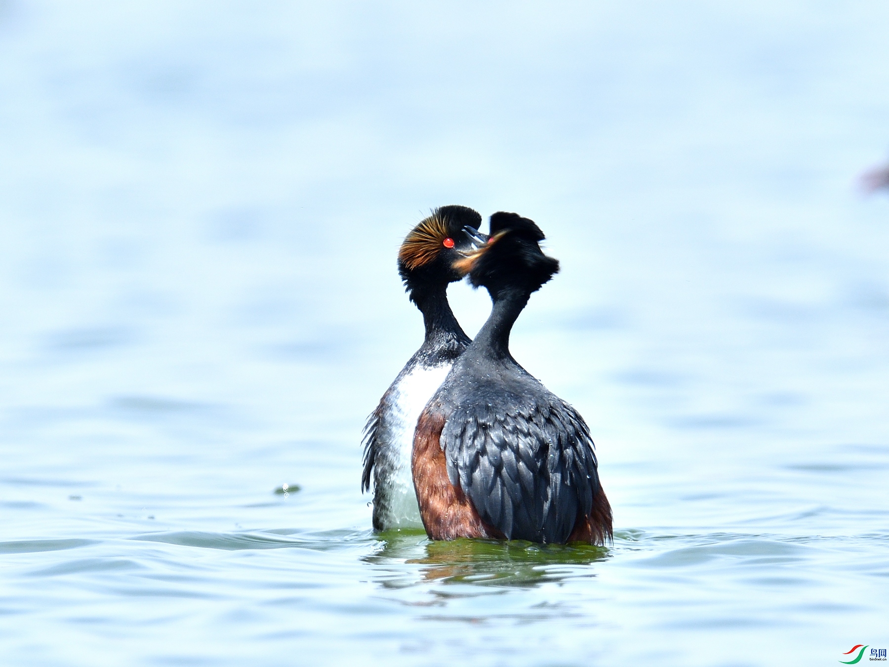 DSC_4034.JPG