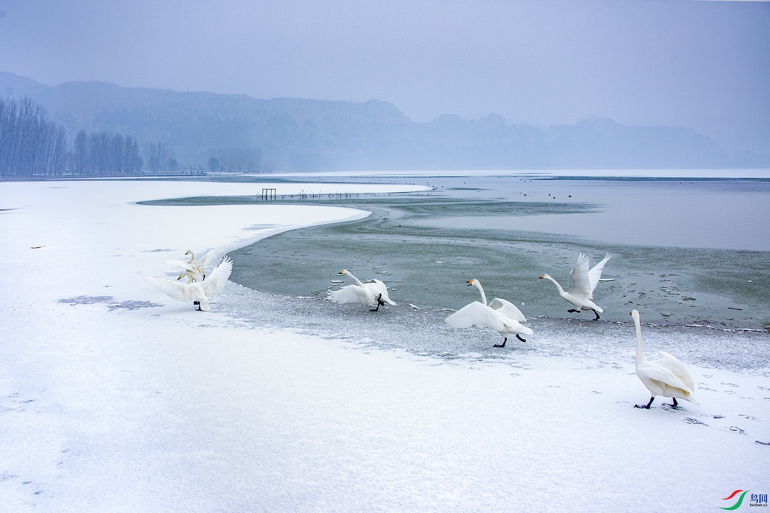 _95A3726.jpg