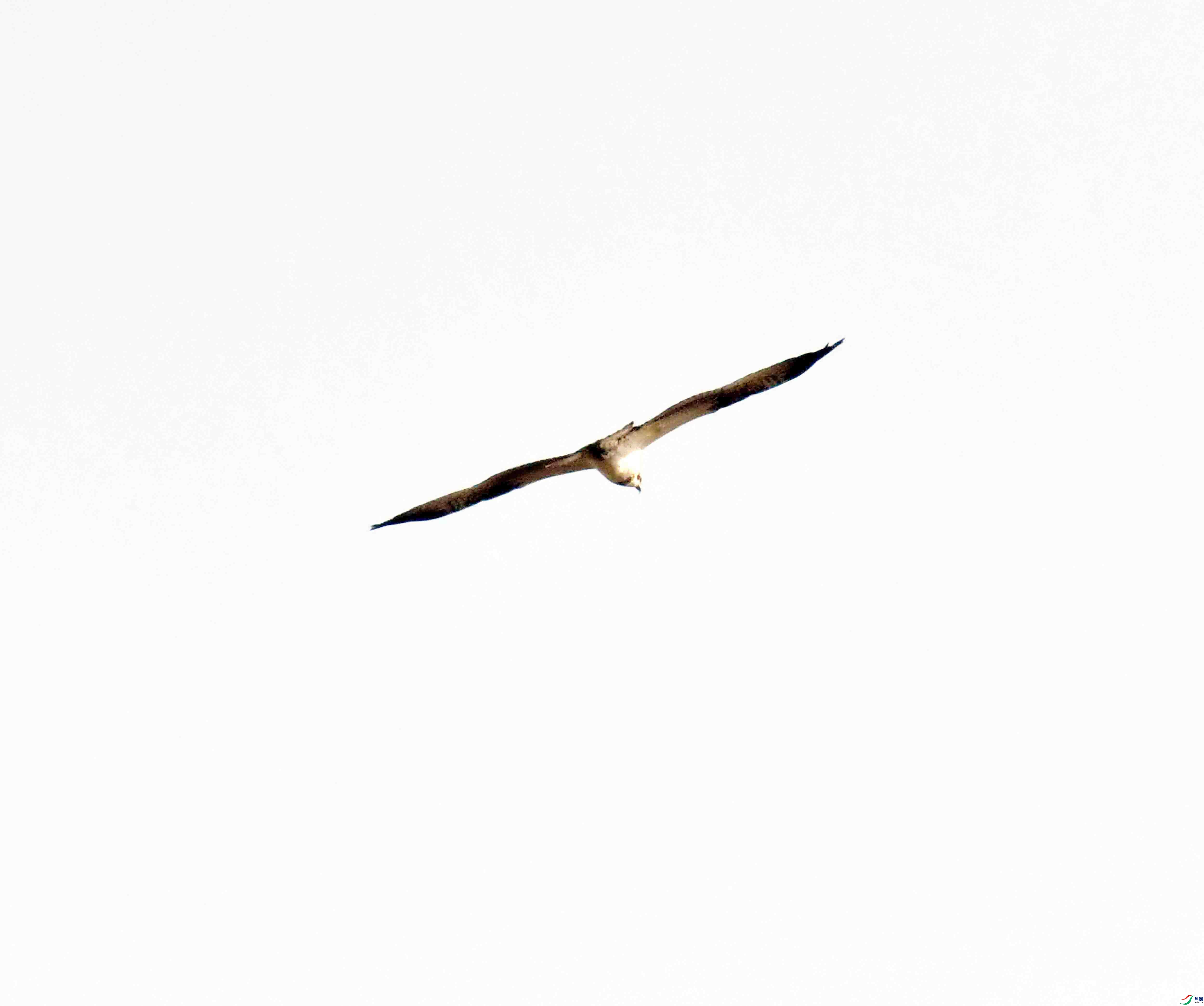 DSC_5251.JPG