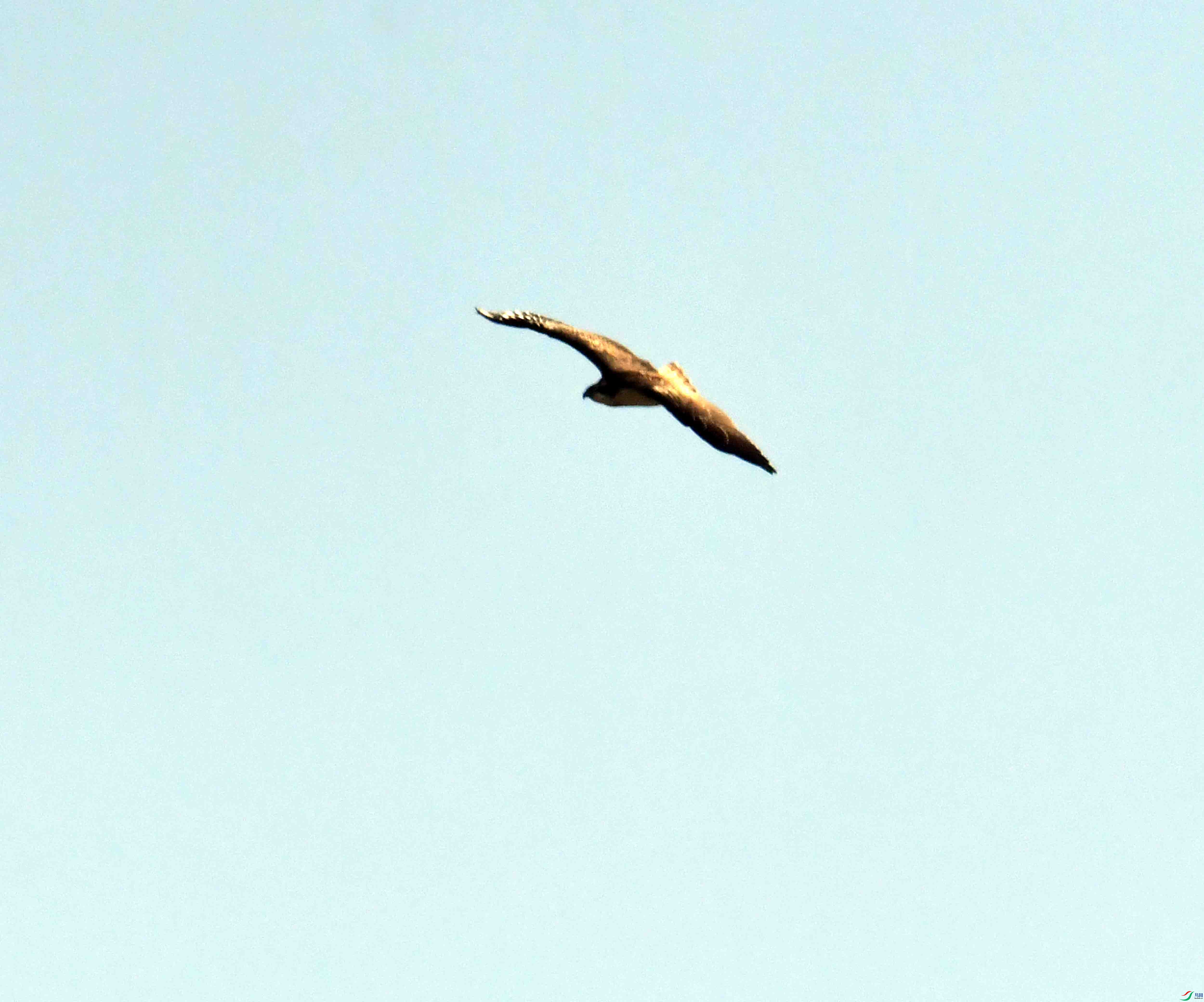 DSC_5256.JPG
