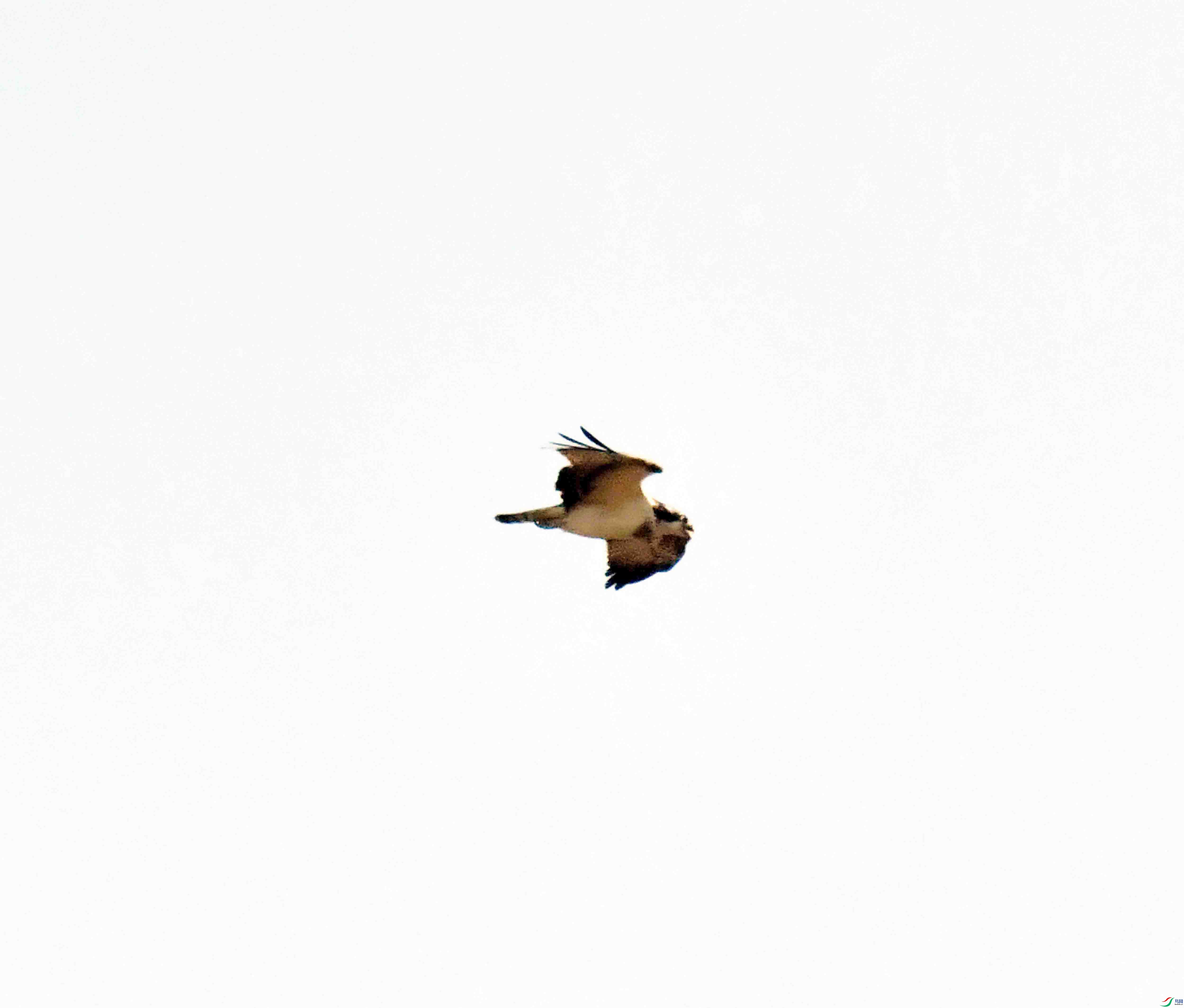 DSC_5299.JPG