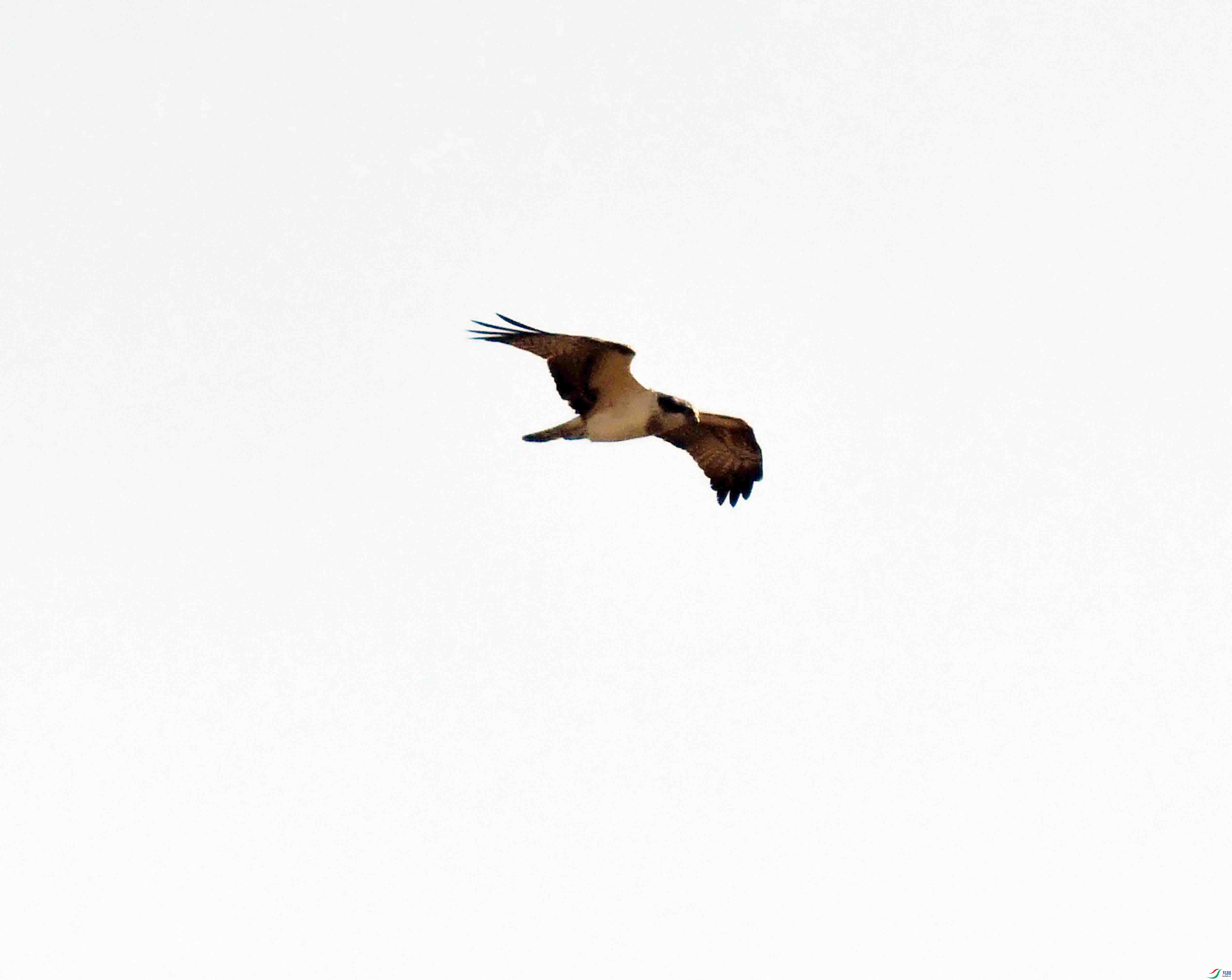 DSC_5304.JPG