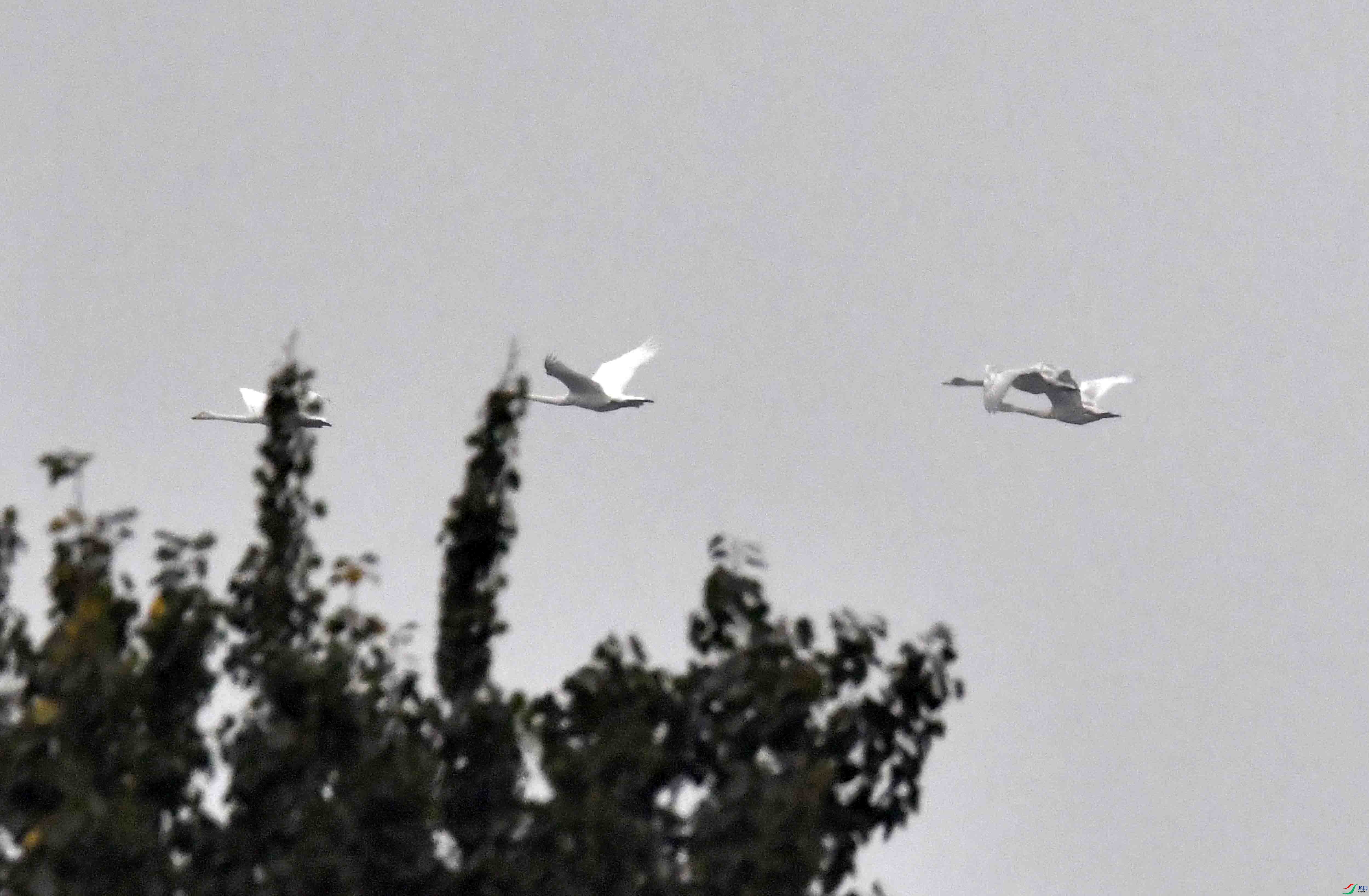 DSC_7134.JPG