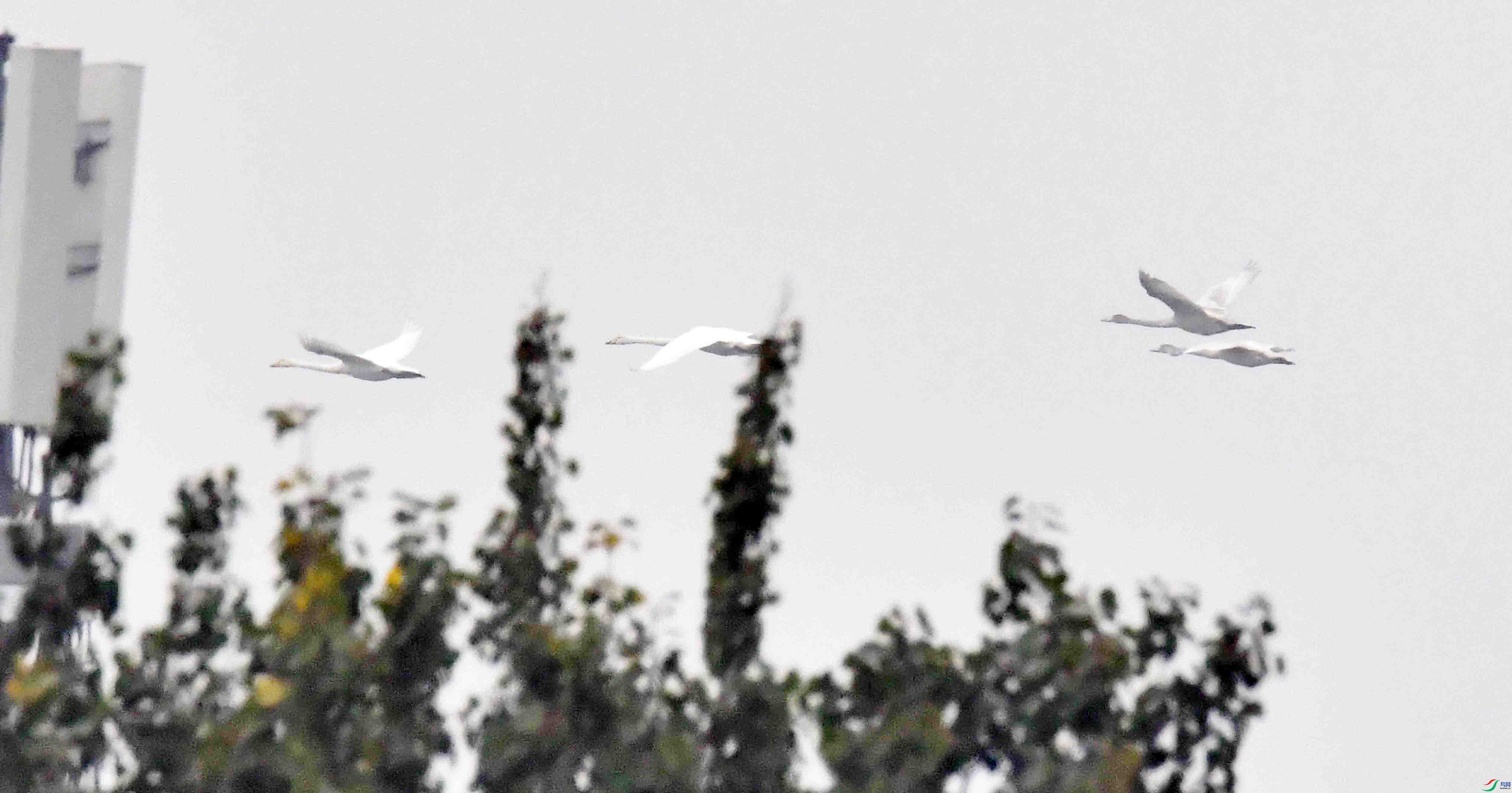 DSC_7135.JPG