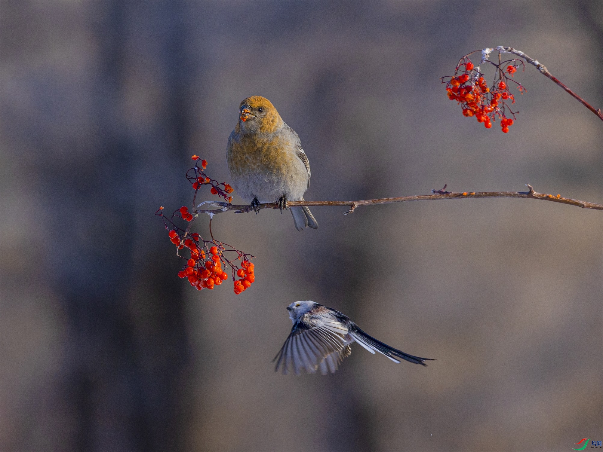 1K3A5637 ����1.jpg