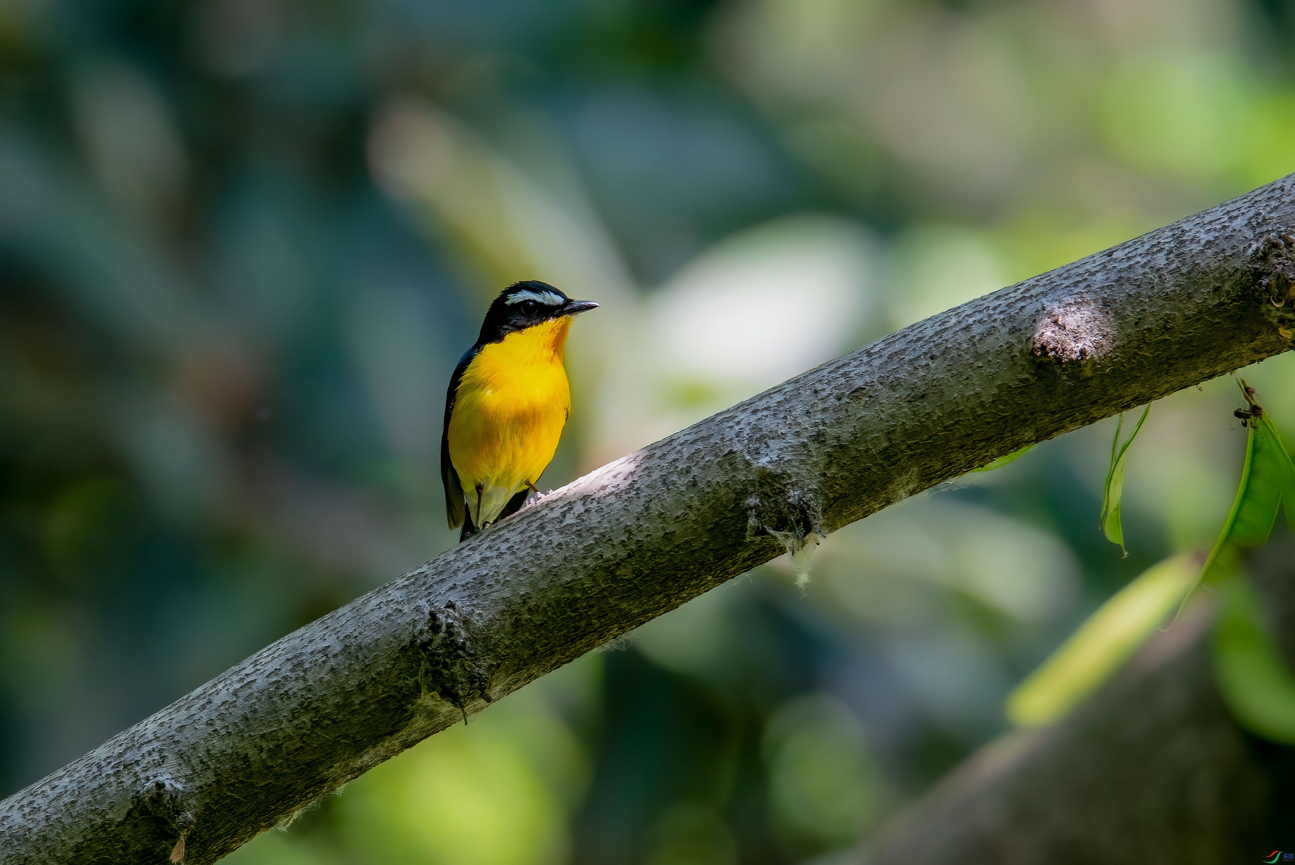 DSC_2631.jpg