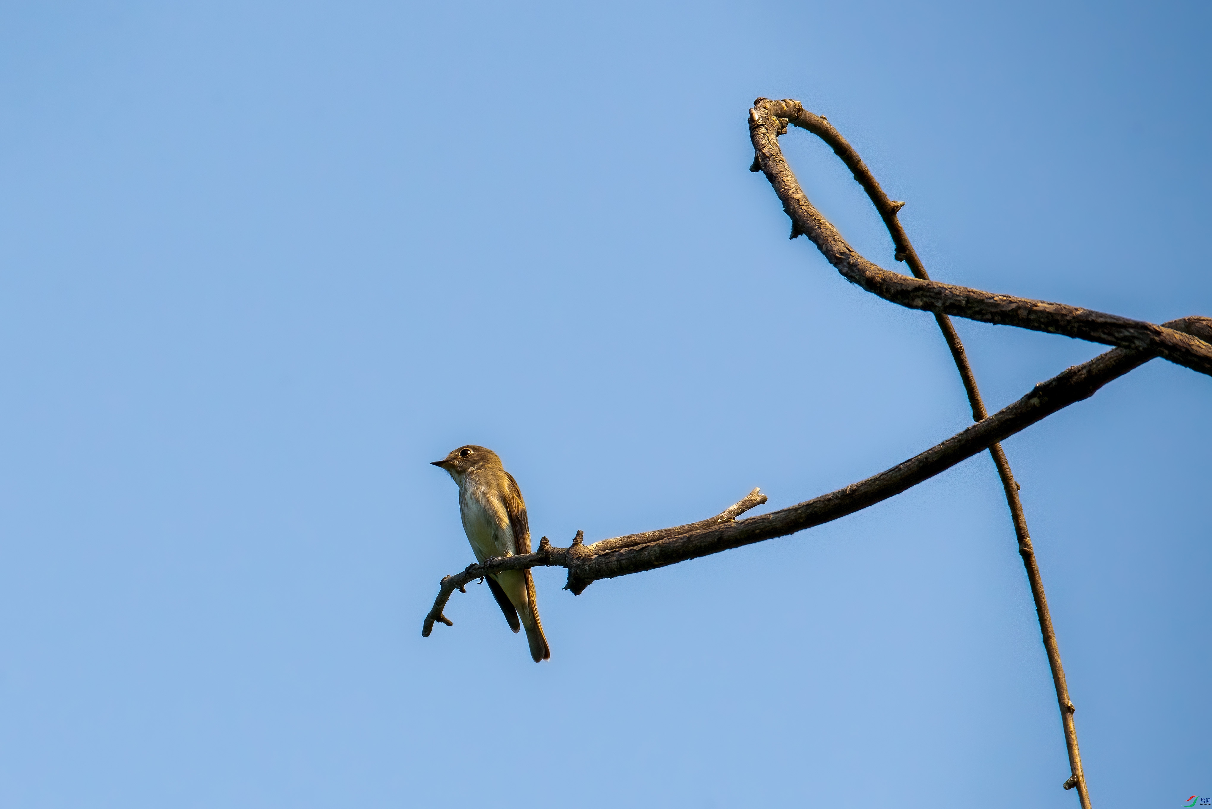 DSC_1106.jpg