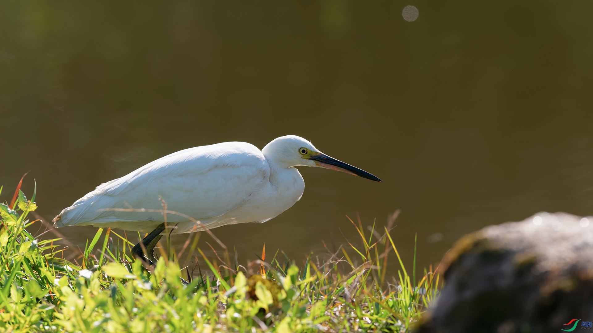 DSC_8723_DxOa.jpg
